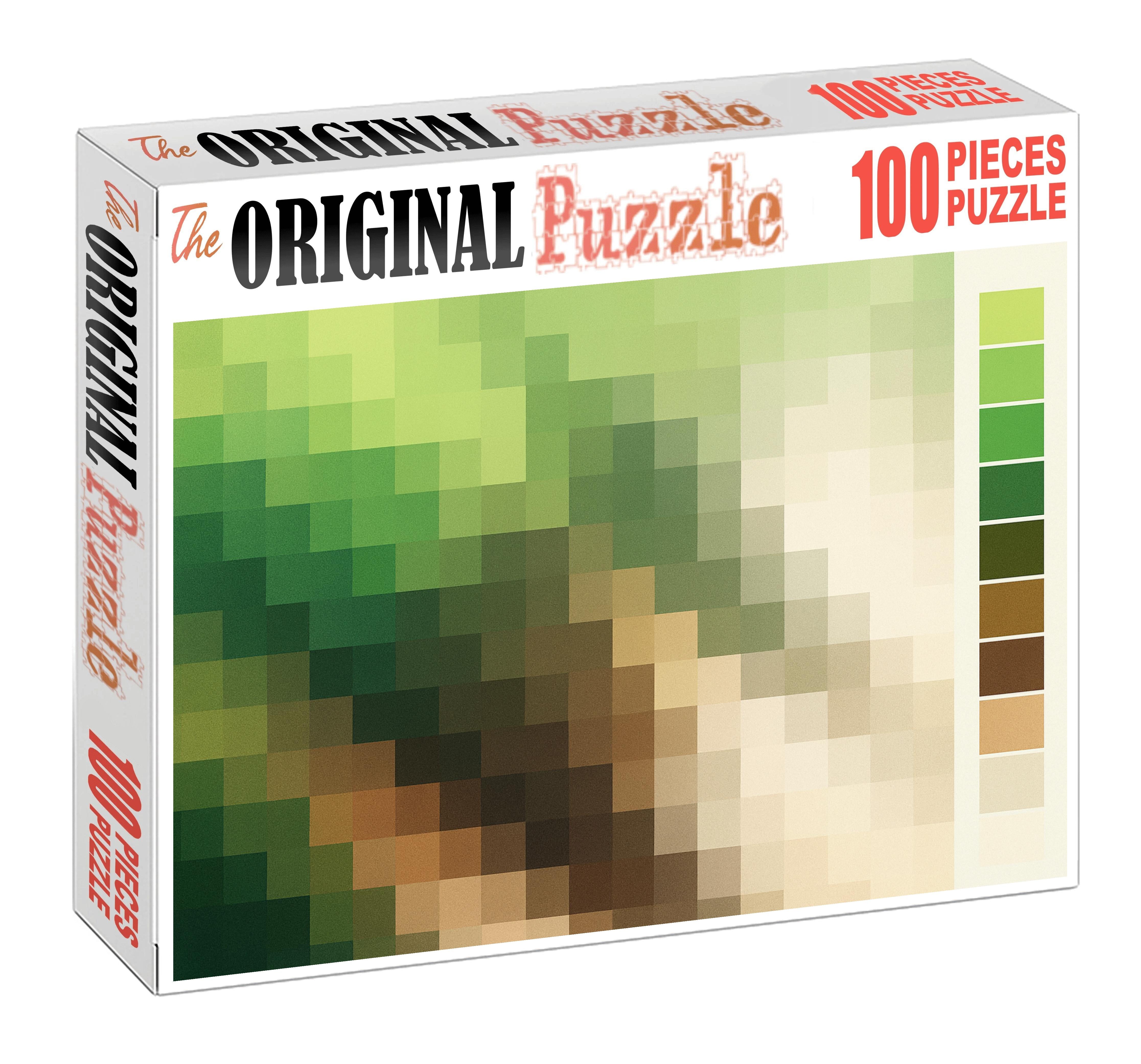 Digital Elevation Model Raster Visualization Easy Puzzles