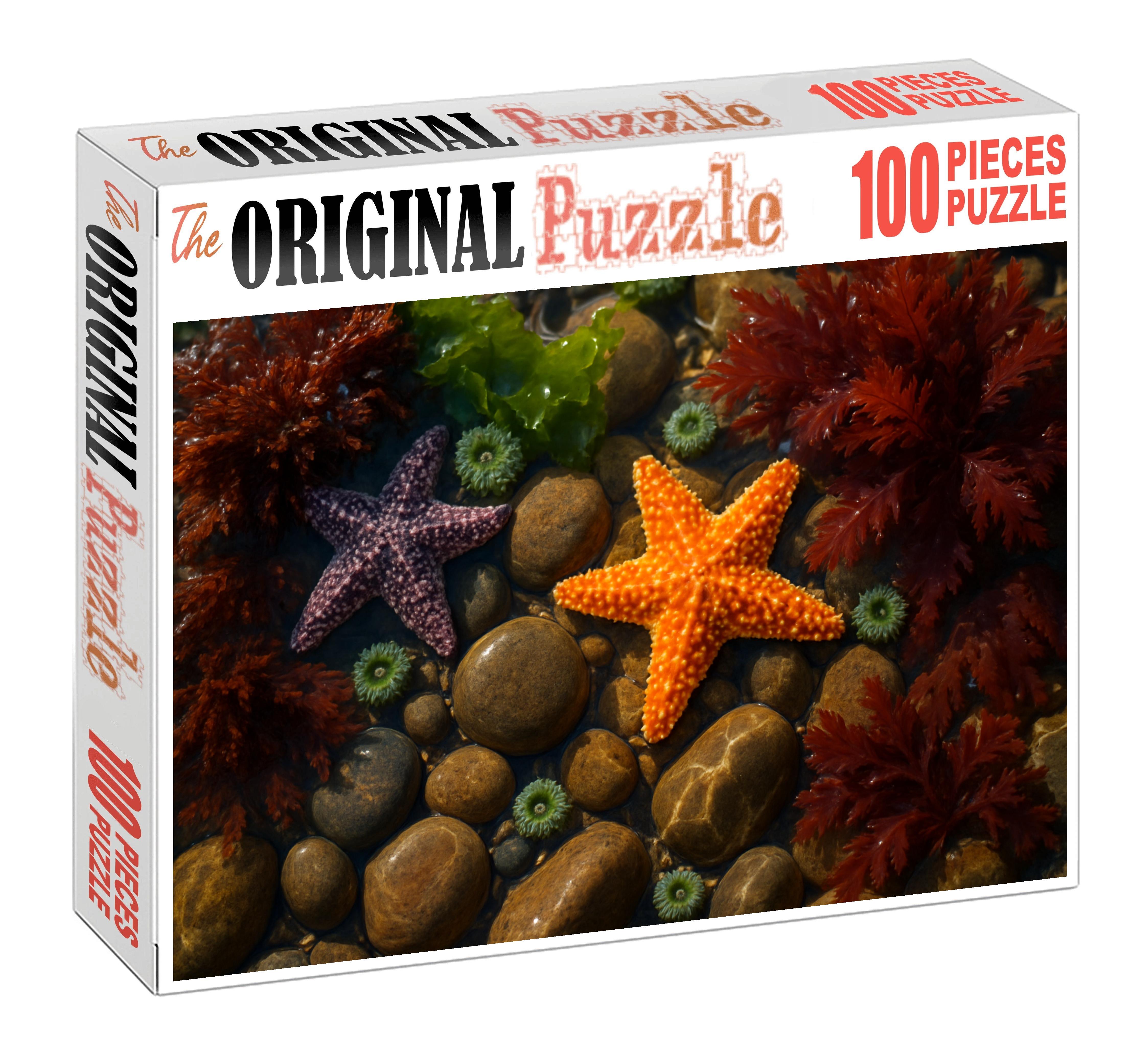 Glistening Tidepool Mosaic Microcosm Of Rocky Intertidal Life 20 Piece Puzzle
