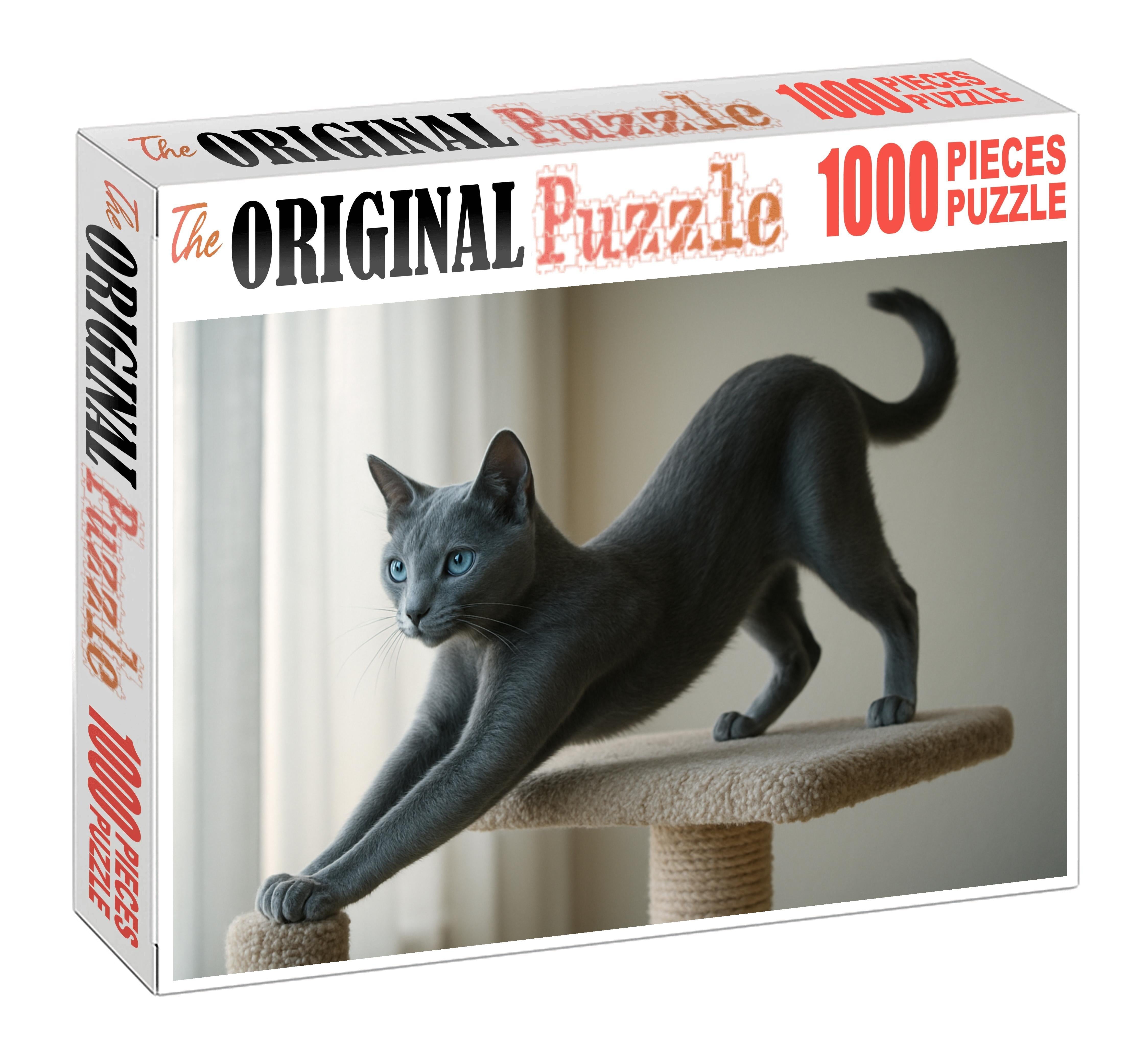 Cloud Dancer Pale Blue-gray Shortcoat With Agile Spirit Unique Puzzle Design