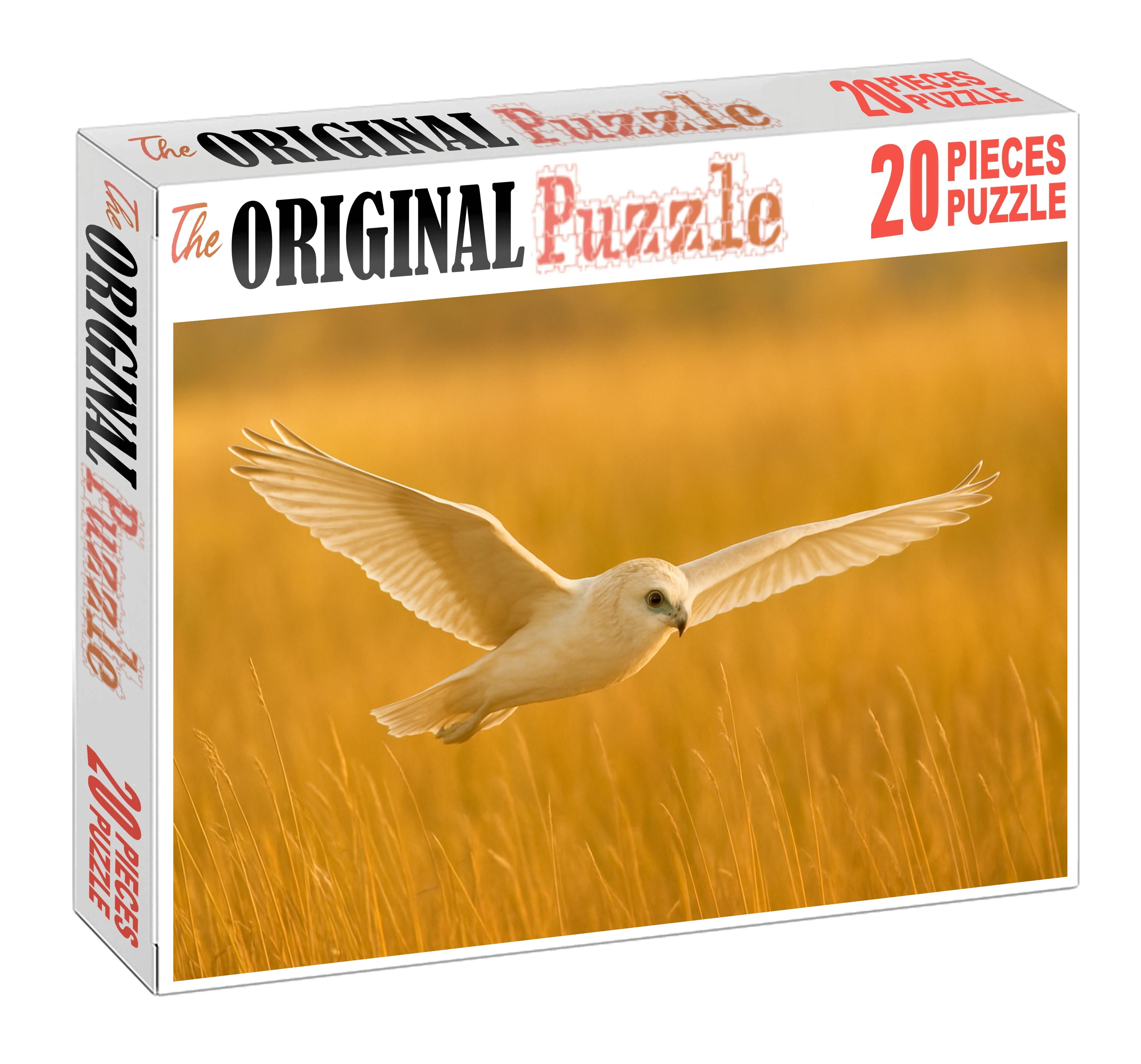 Pallid Harrier Graceful Marsh Wanderer Easy Puzzles