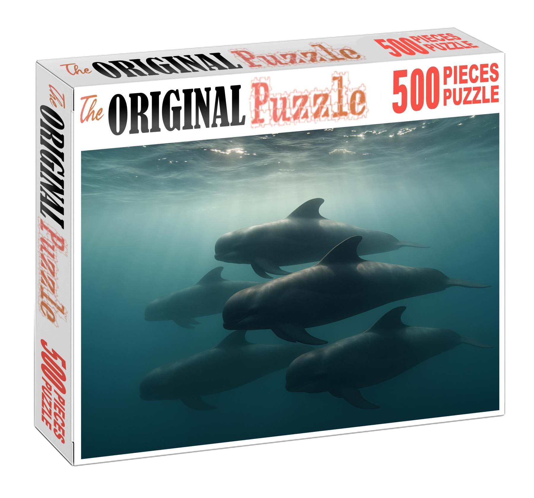 Slateback Pilot Whale Sleek Social Marine Mammal With Distinctive Dorsal Marking Puzzle Fun