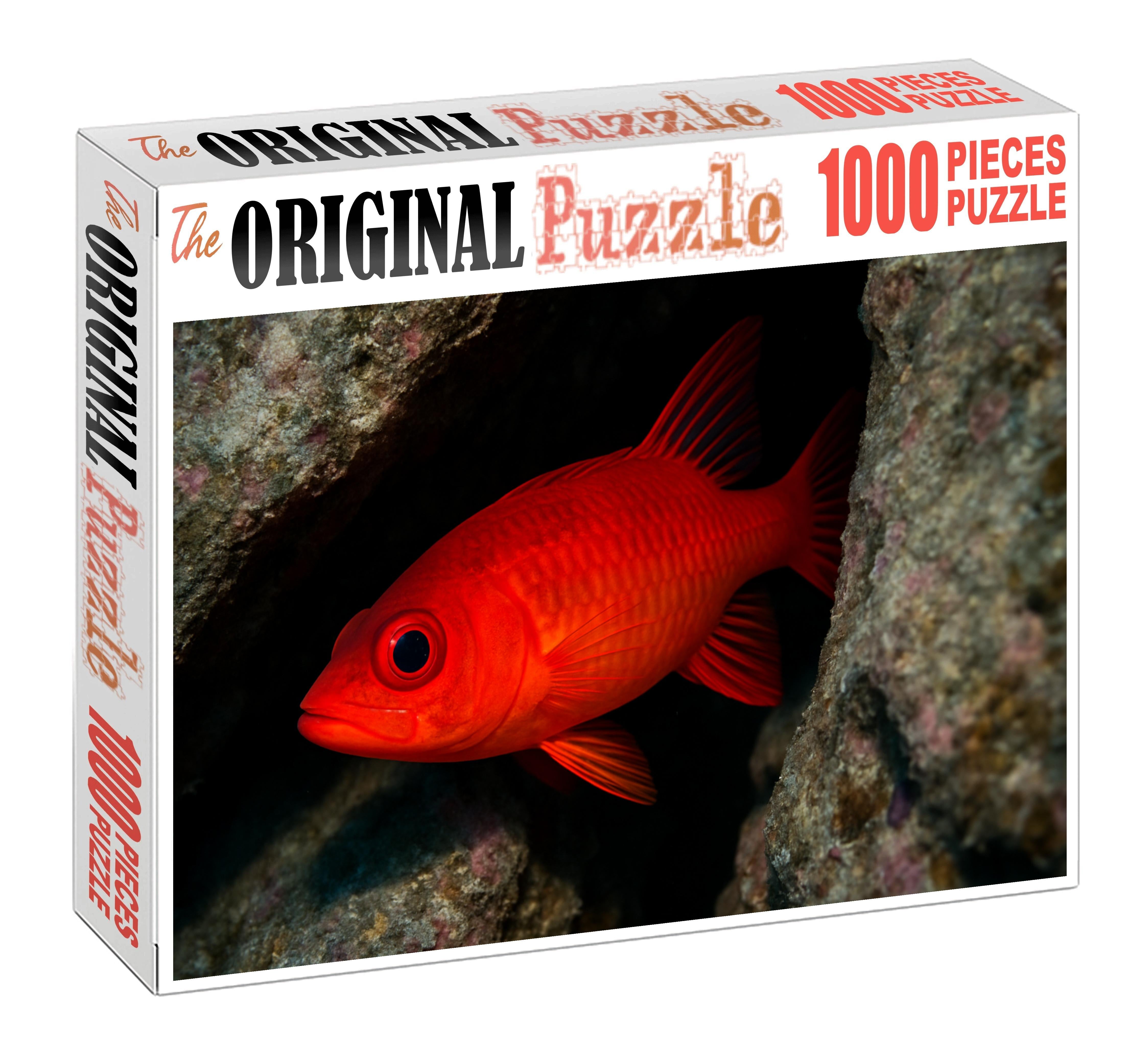 Sunset Blenny Small Elongated Fish With Fiery Gradient Coloration Easy Puzzles