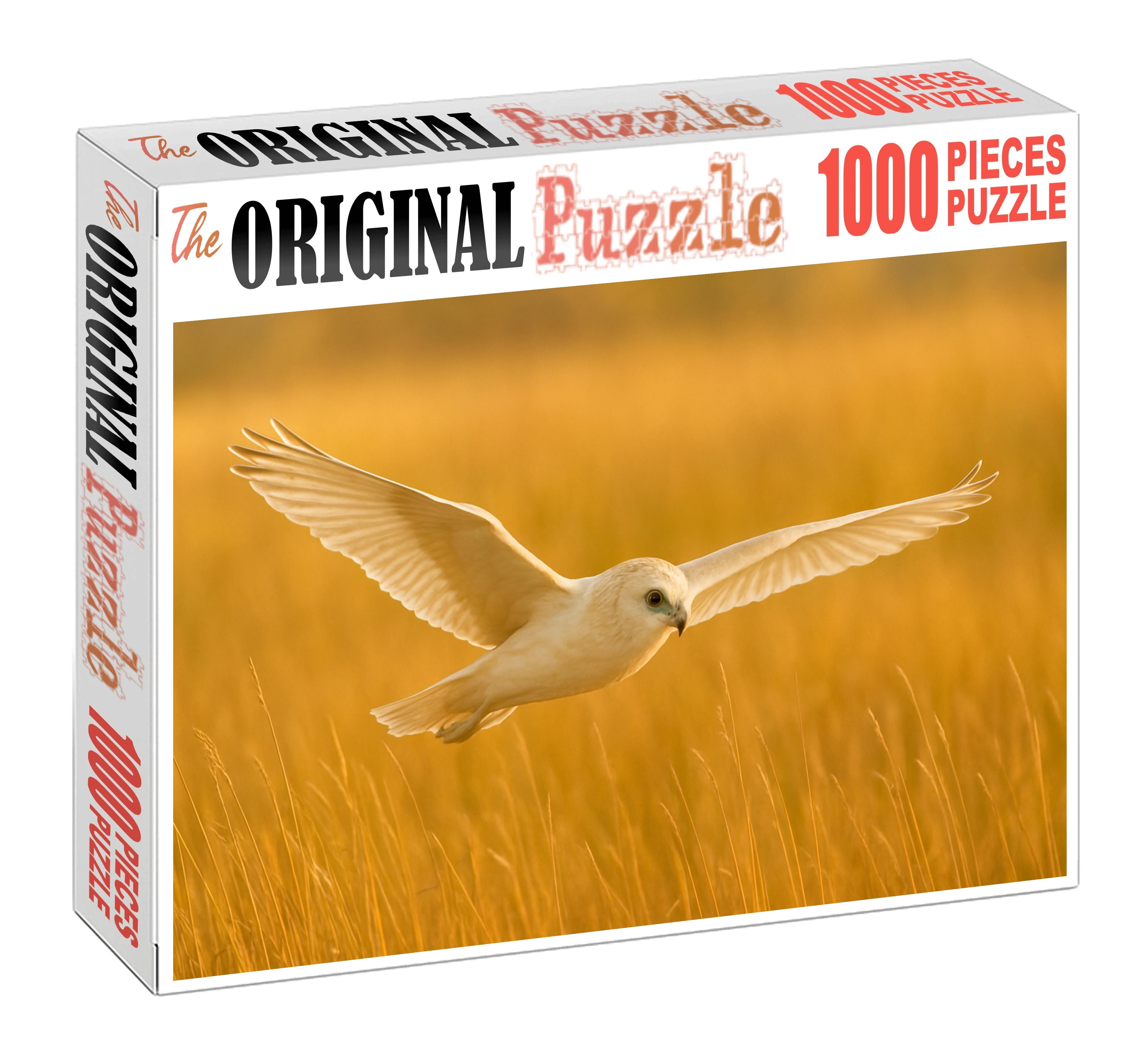 Pallid Harrier Graceful Marsh Wanderer Easy Puzzles