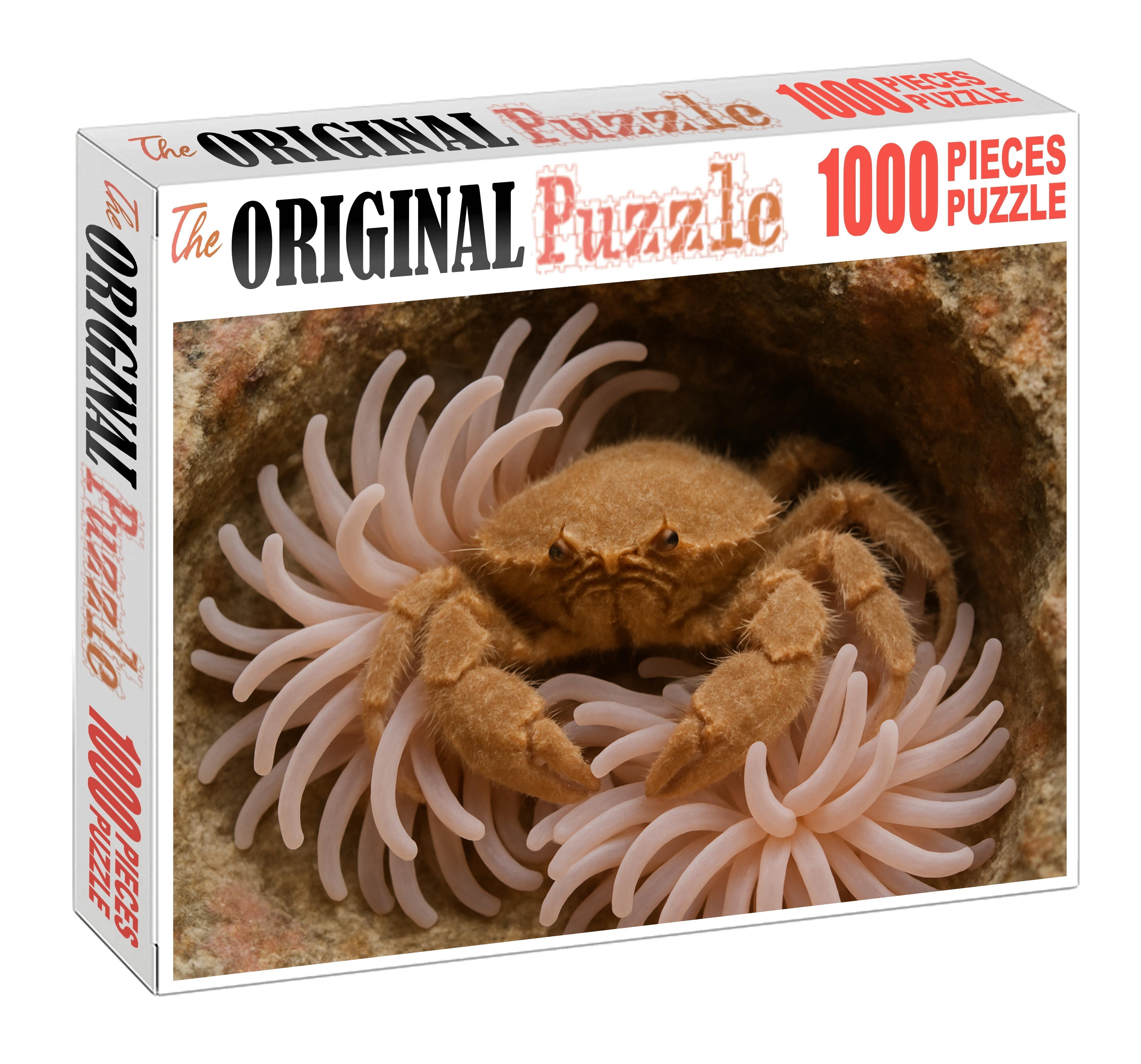 Velvet Spiny Anemone Crab Camouflaged Coral Dweller With Fine Tactile Appendages Puzzle Collection