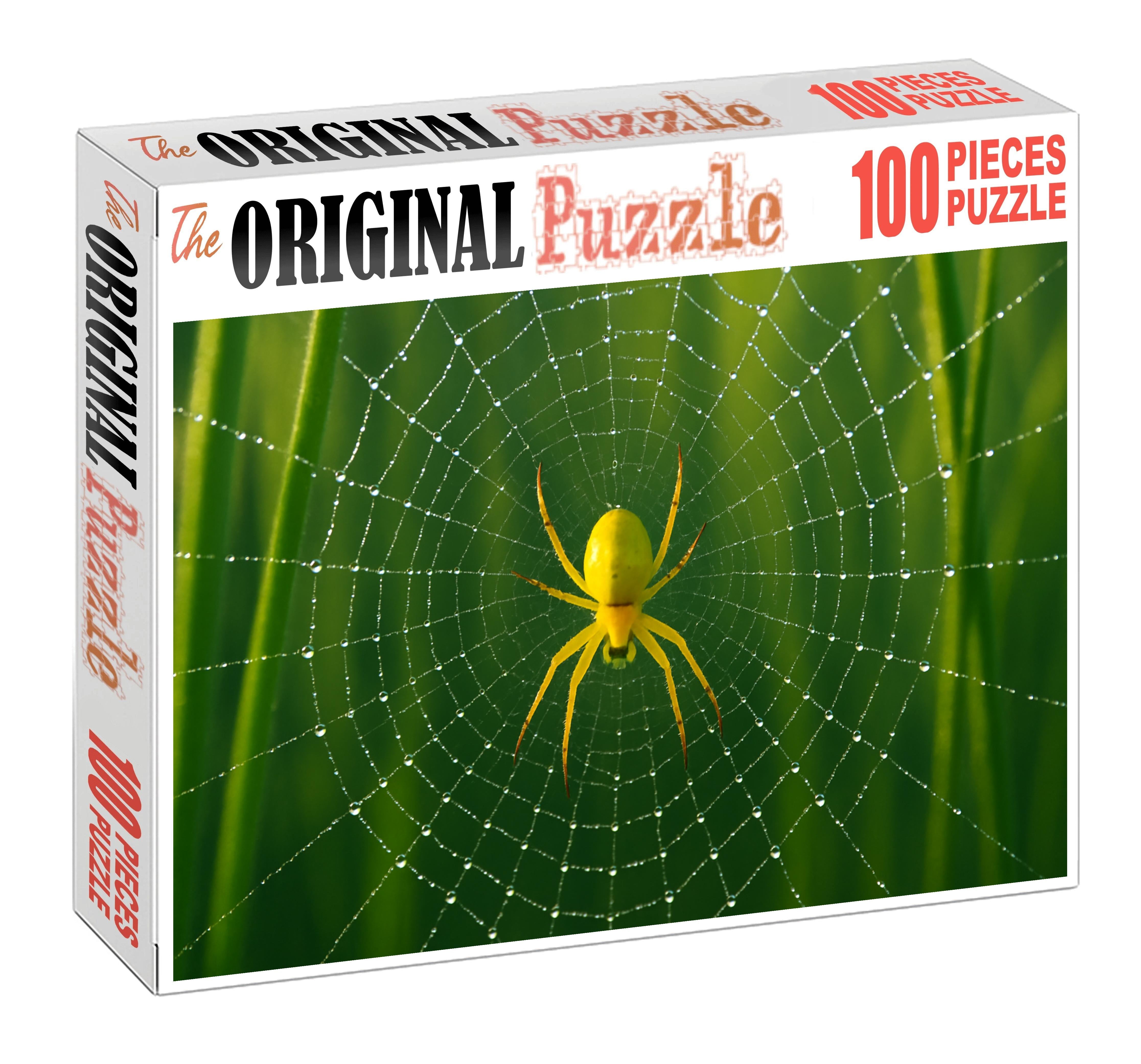 Golden Orb Weaver Intricate Web Builder With Brilliant Yellow Body Puzzle Fun