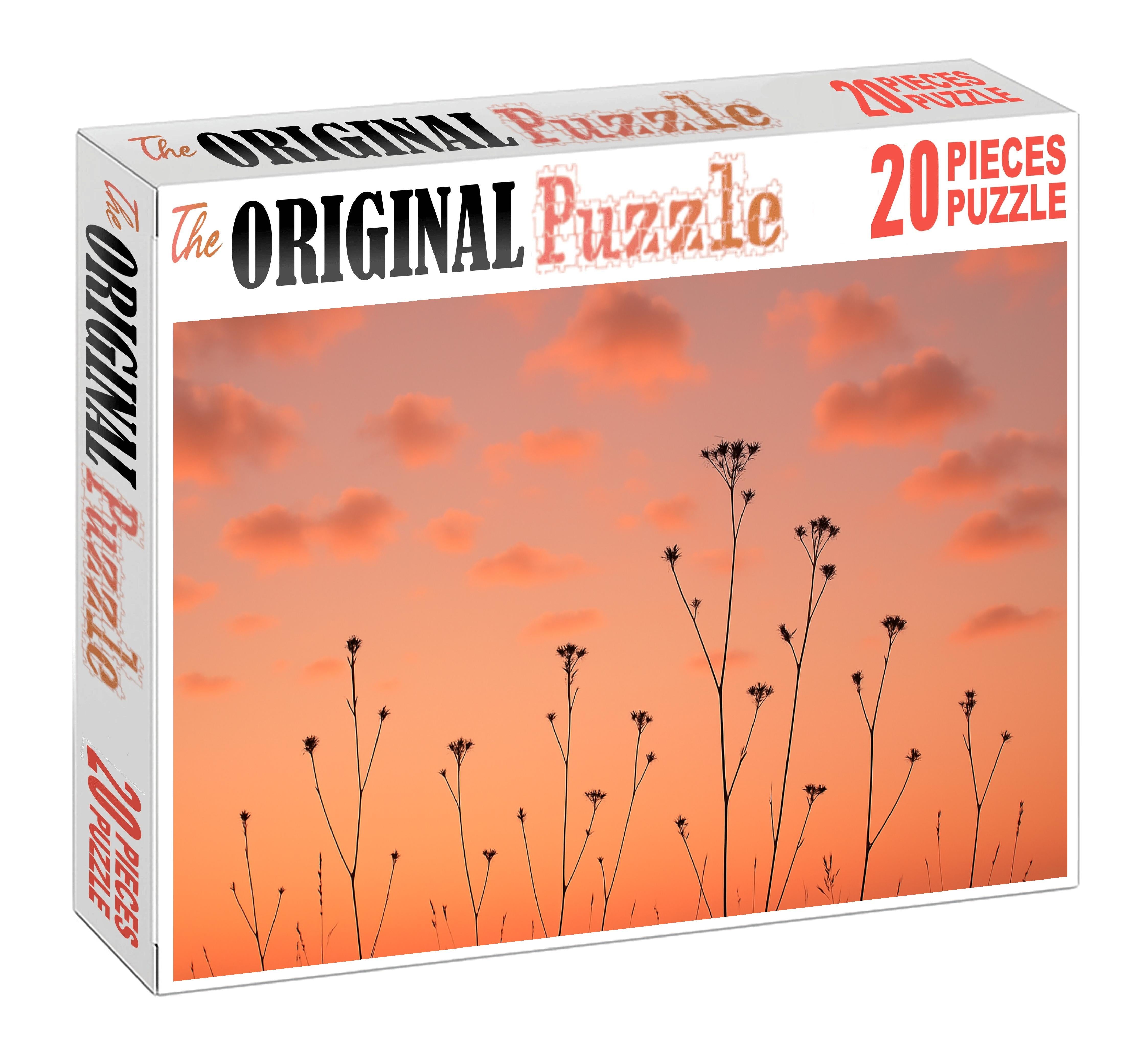 Coral Serenade Skies Puzzle For Kids
