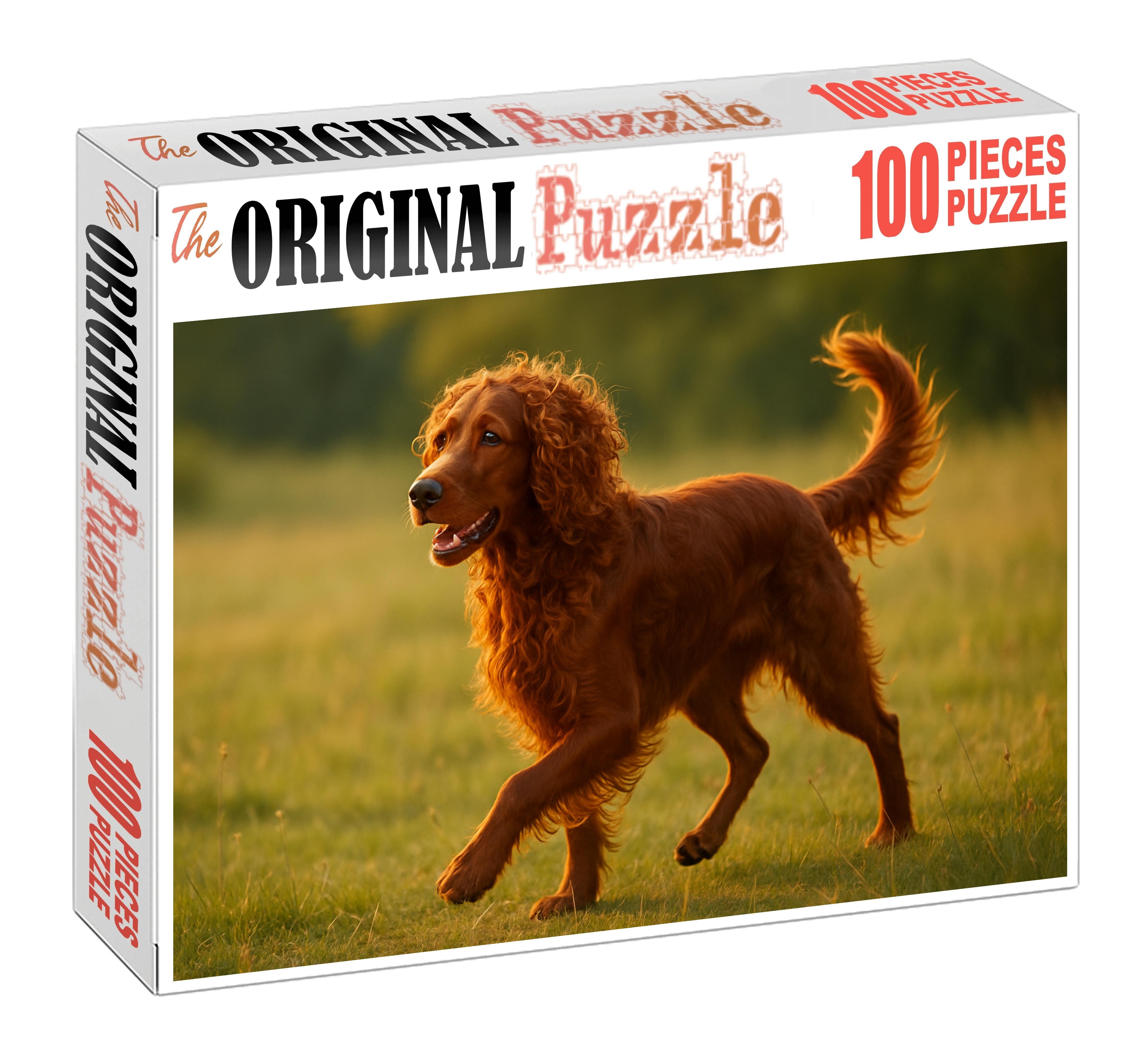 Rust Whirl Spiraled Auburn-coated Herding Dog With Energetic Spirit Puzzle Collection