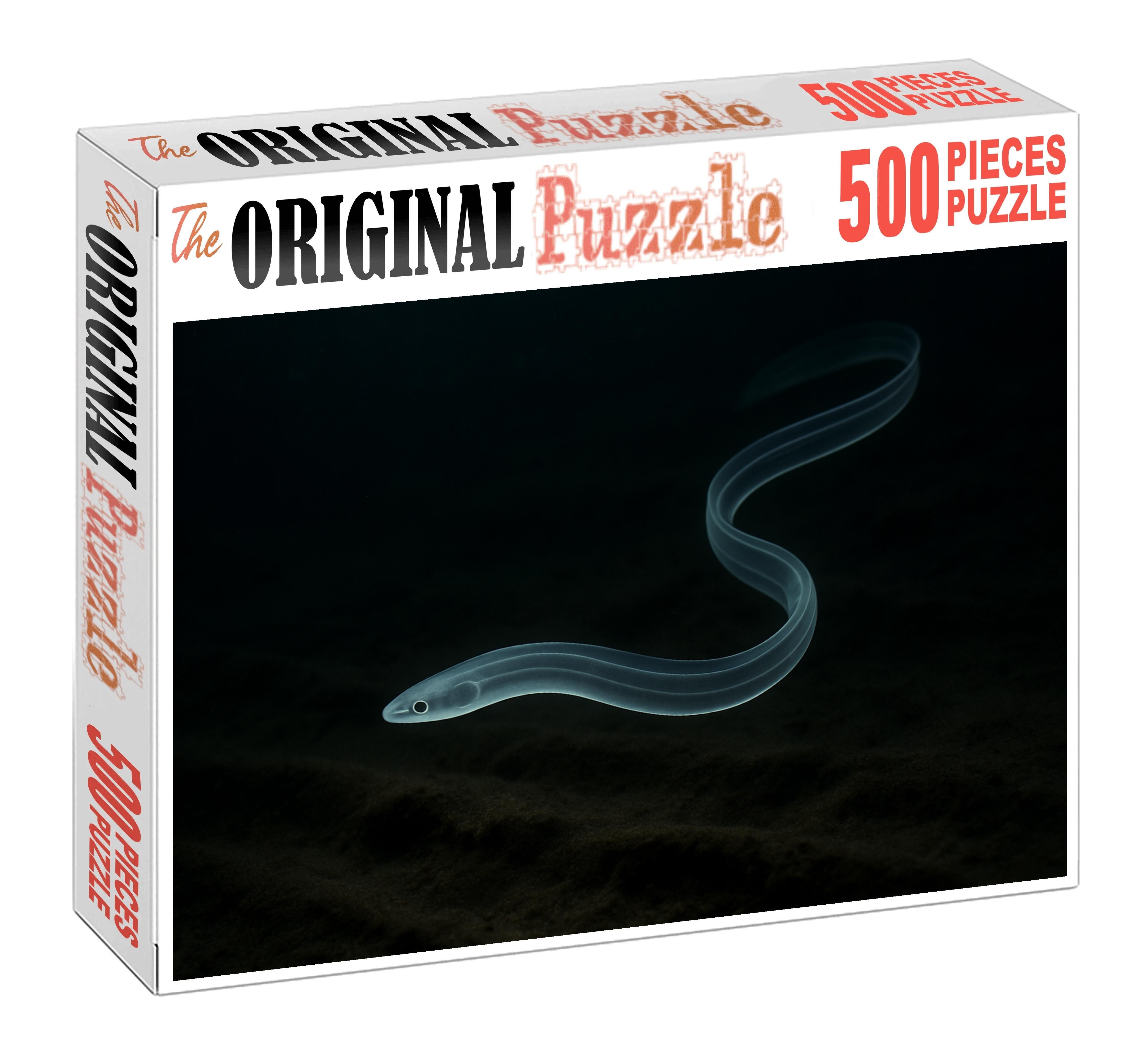 Midnight Glass Eel Elusive Juvenile Drifter Challenging Puzzles