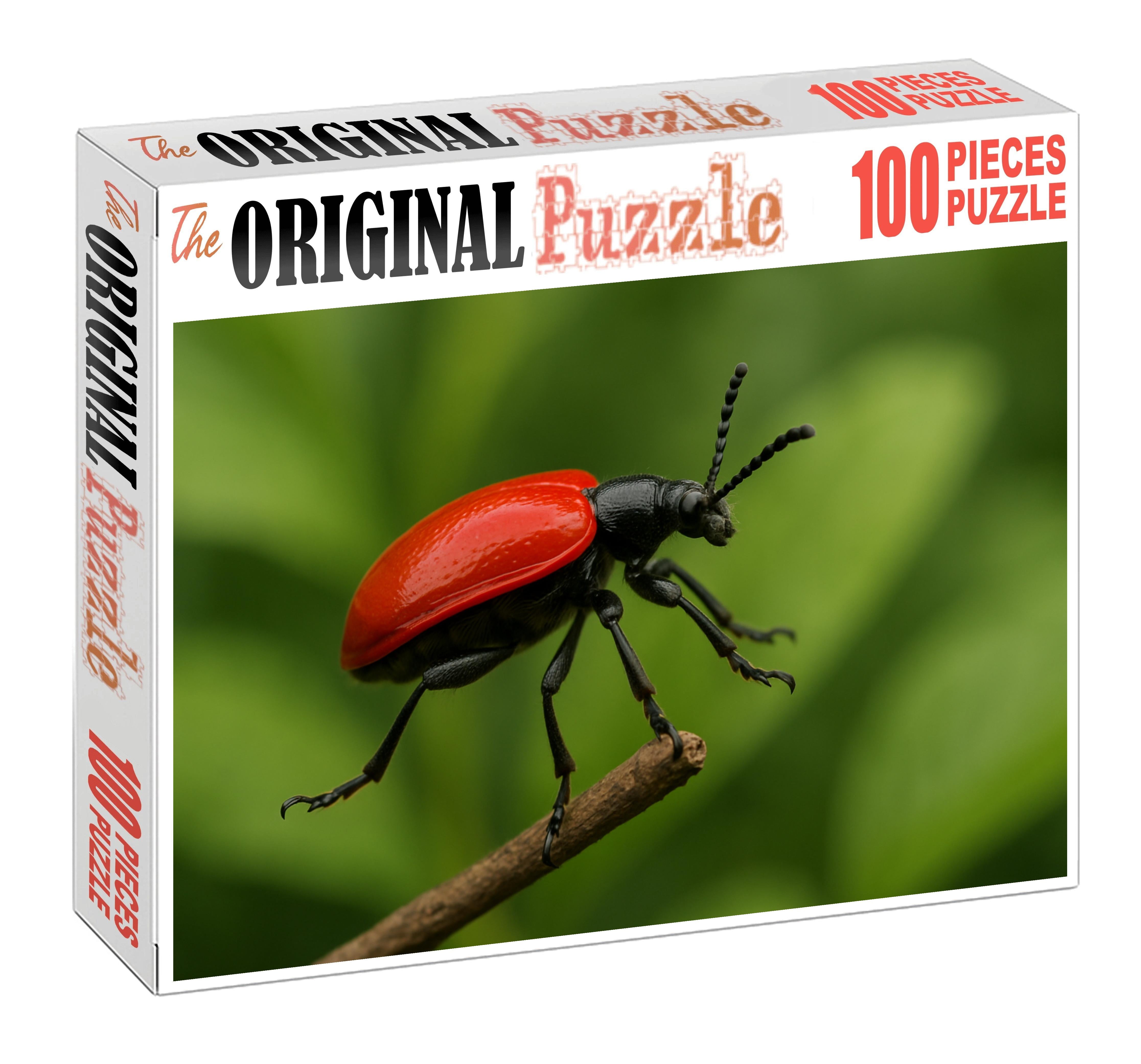 Scarlet Mantled Jumping Beetle Compact Insect With Bright Red Shield And Incredible Leap 100 Piece Puzzle