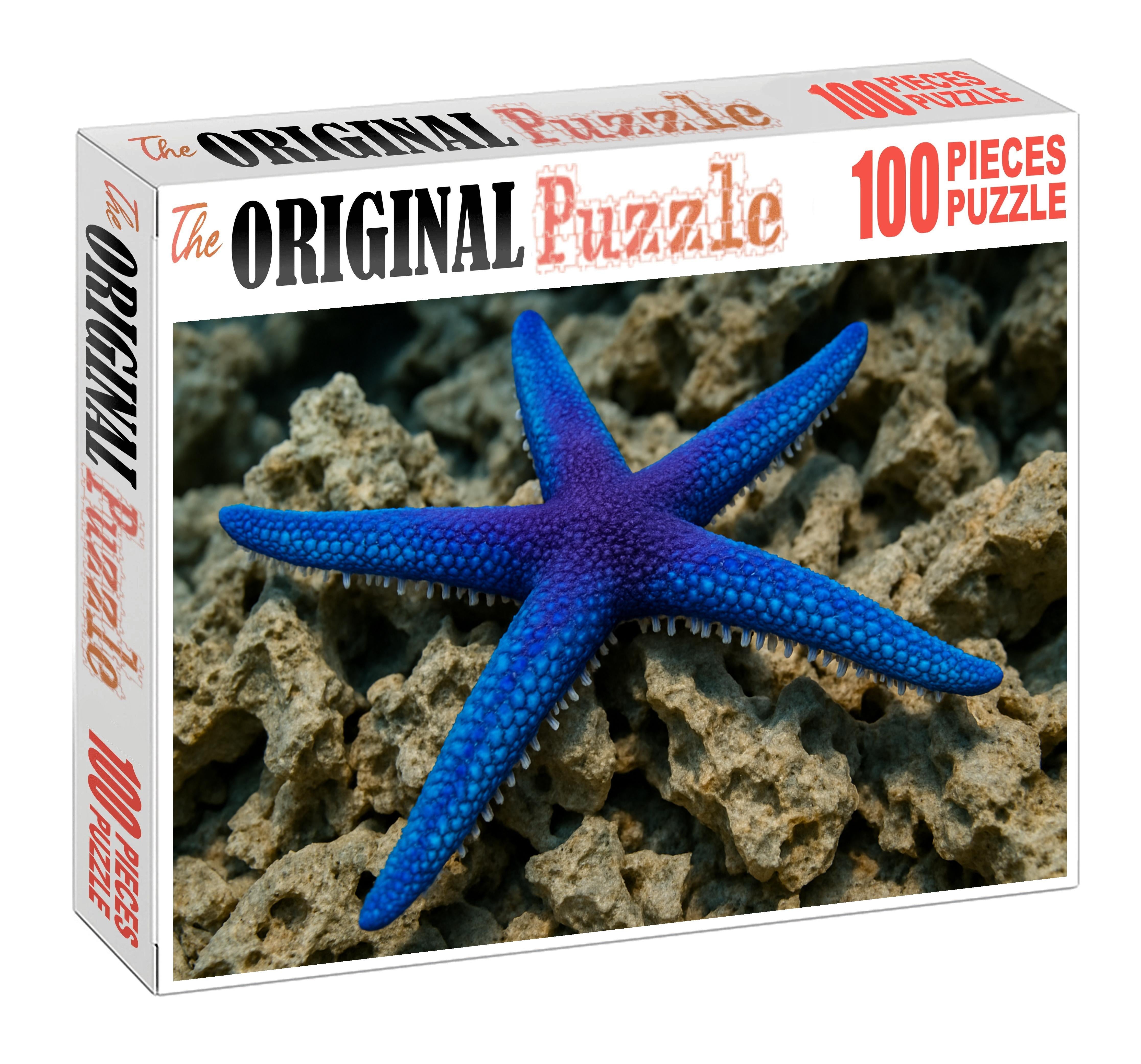 Celestial Sea Star Five-armed Coral Hunter Challenging Puzzles