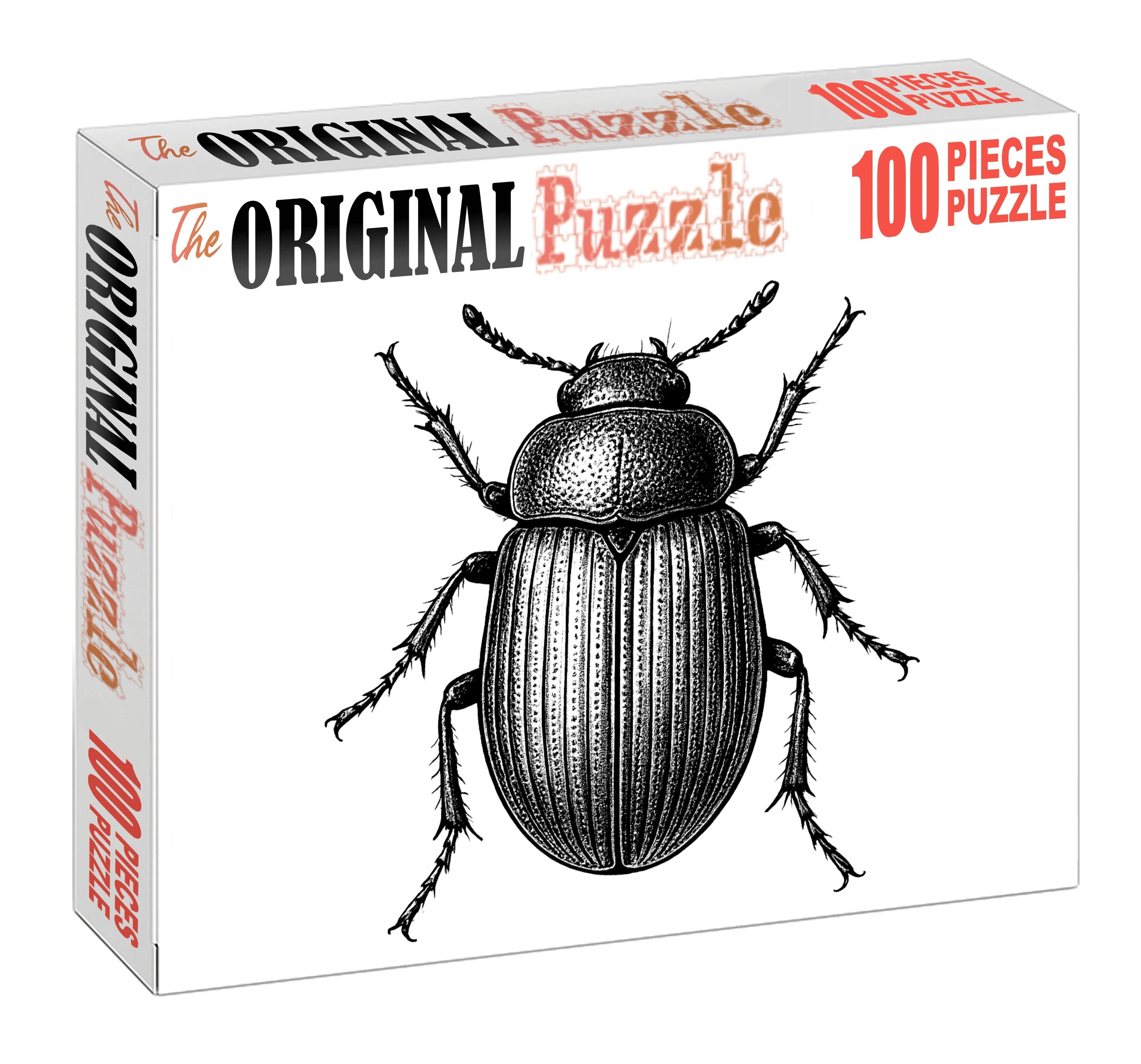 Whimsical Insect Anatomy Detailed Pen And Ink Drawing Of Beetle Structure 1000 Piece Puzzle