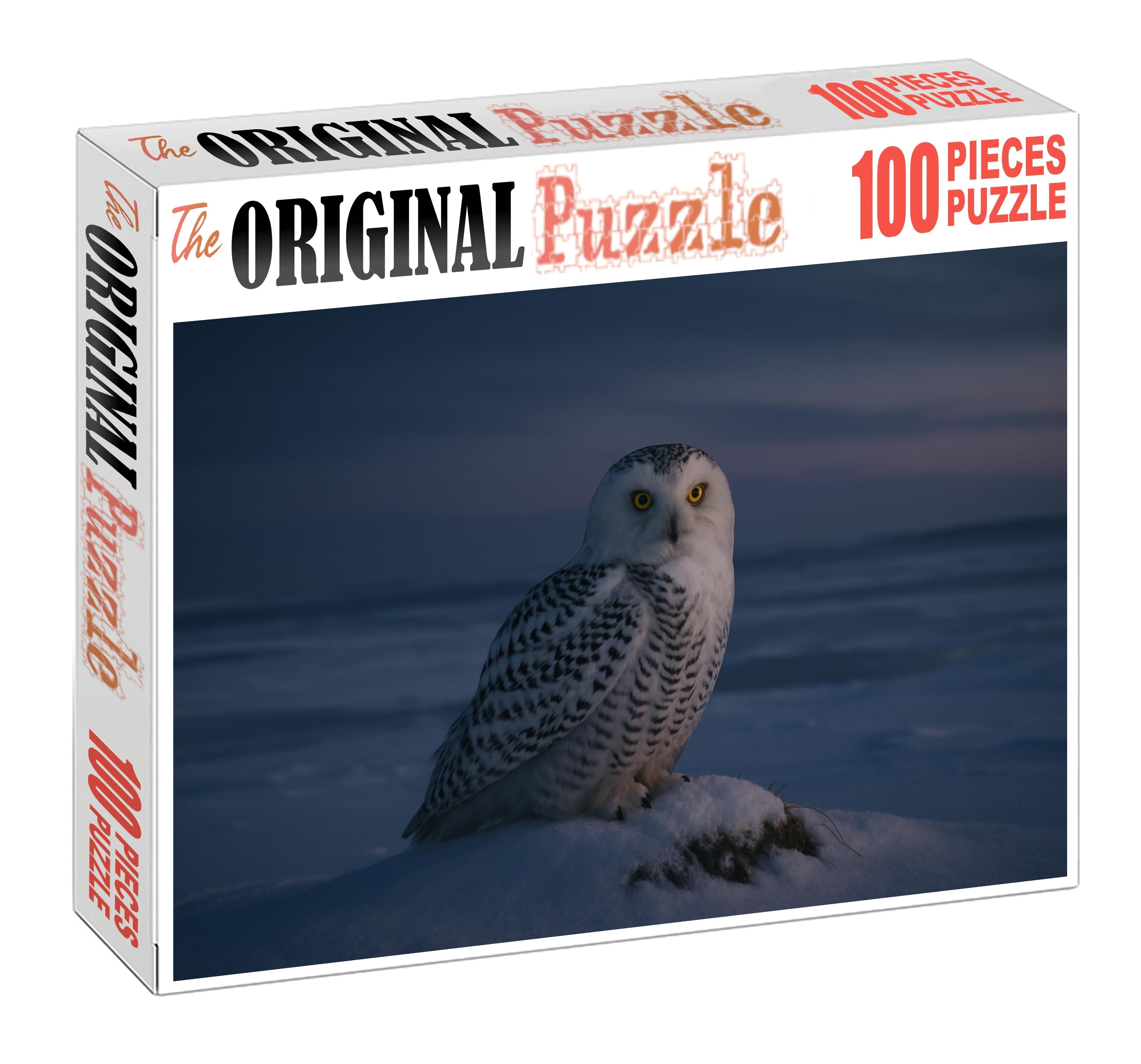 Snowy Owl Arctic Sentinel Of The Night Puzzle Challenge