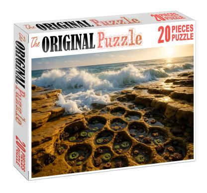Golden Wave Shelf Puzzle For Adults