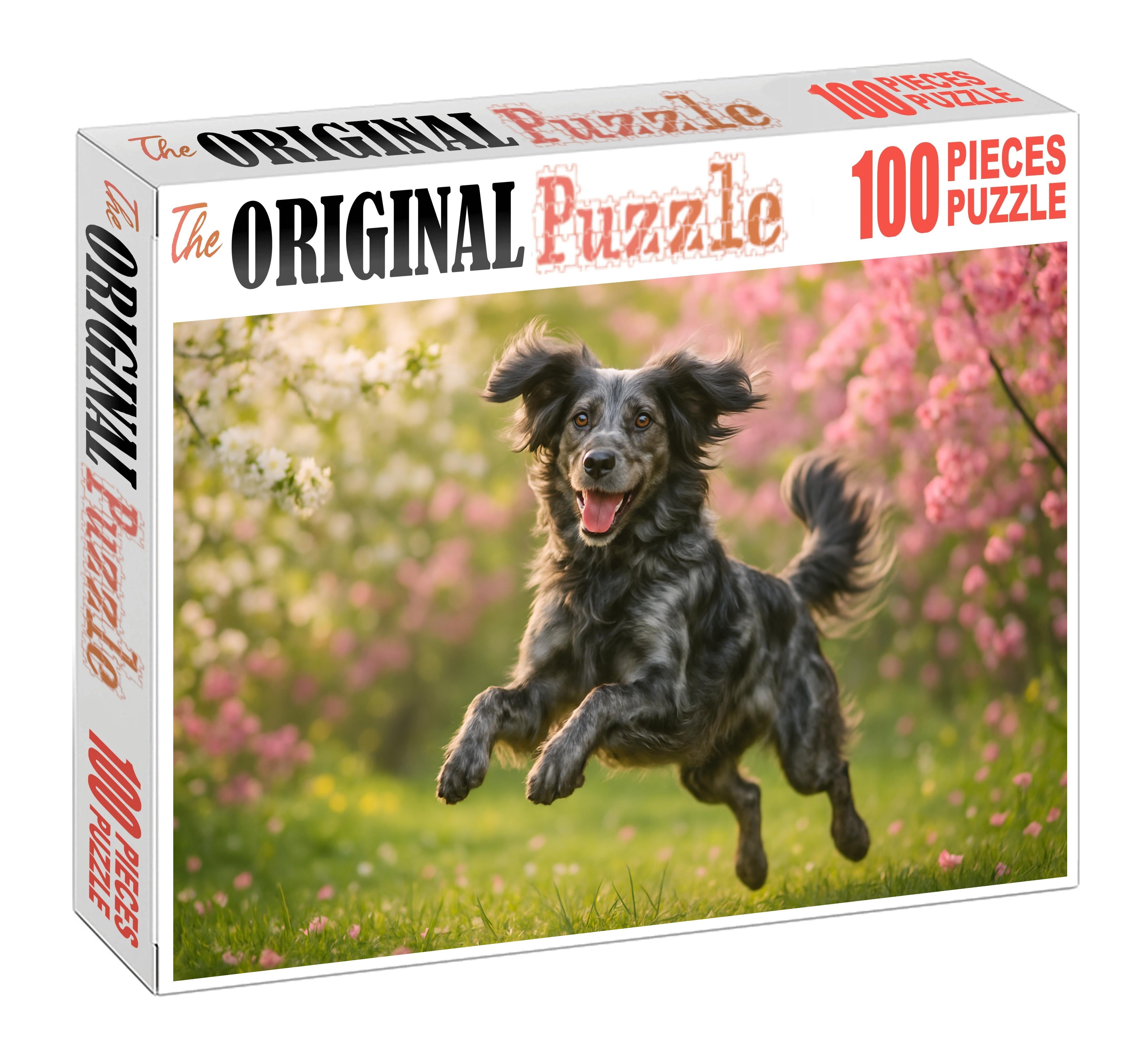 Silver Dapple Puzzle For Kids