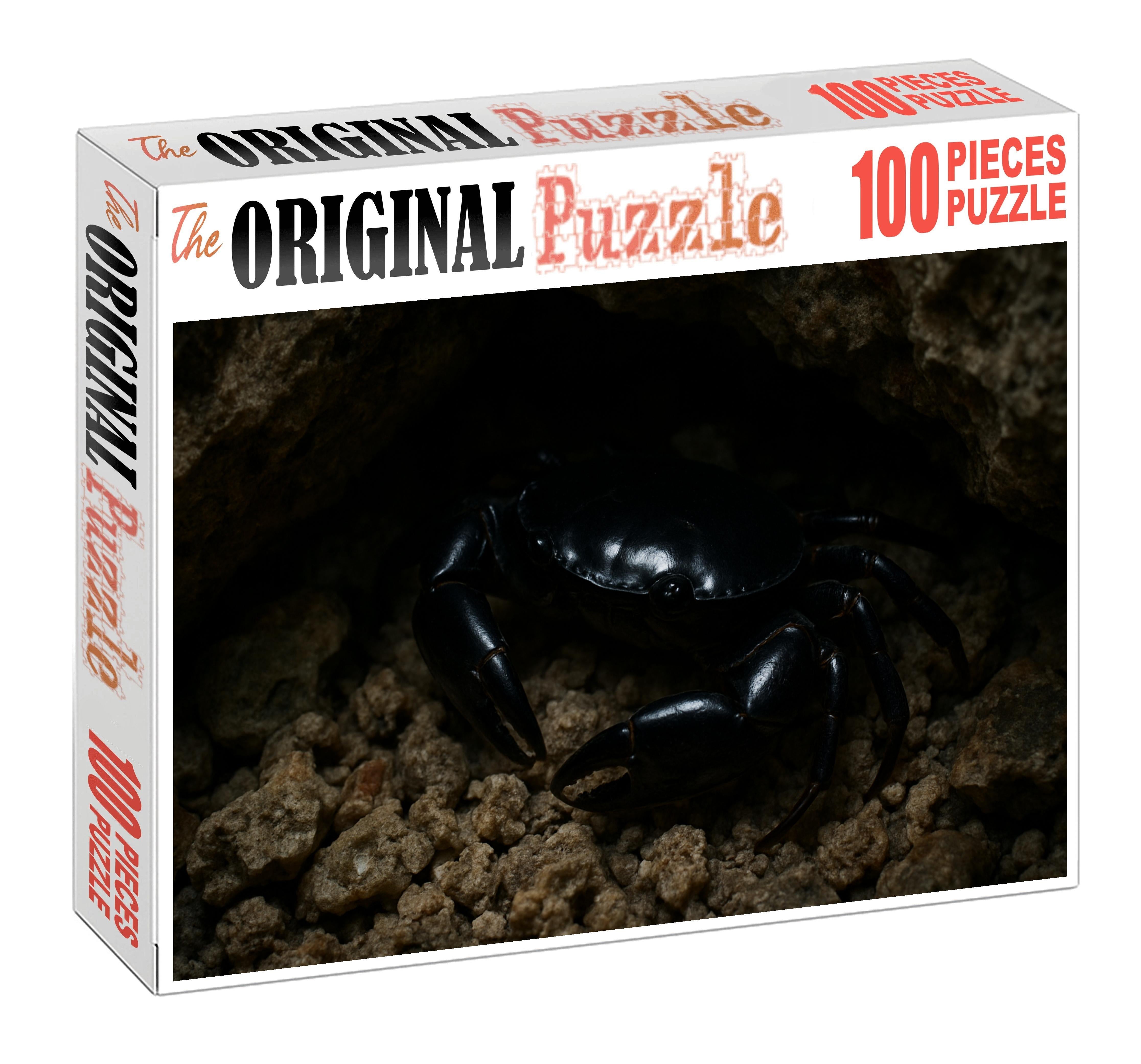 Onyx Reef Crab Nocturnal Scuttler With Polished Carapace Family Puzzles