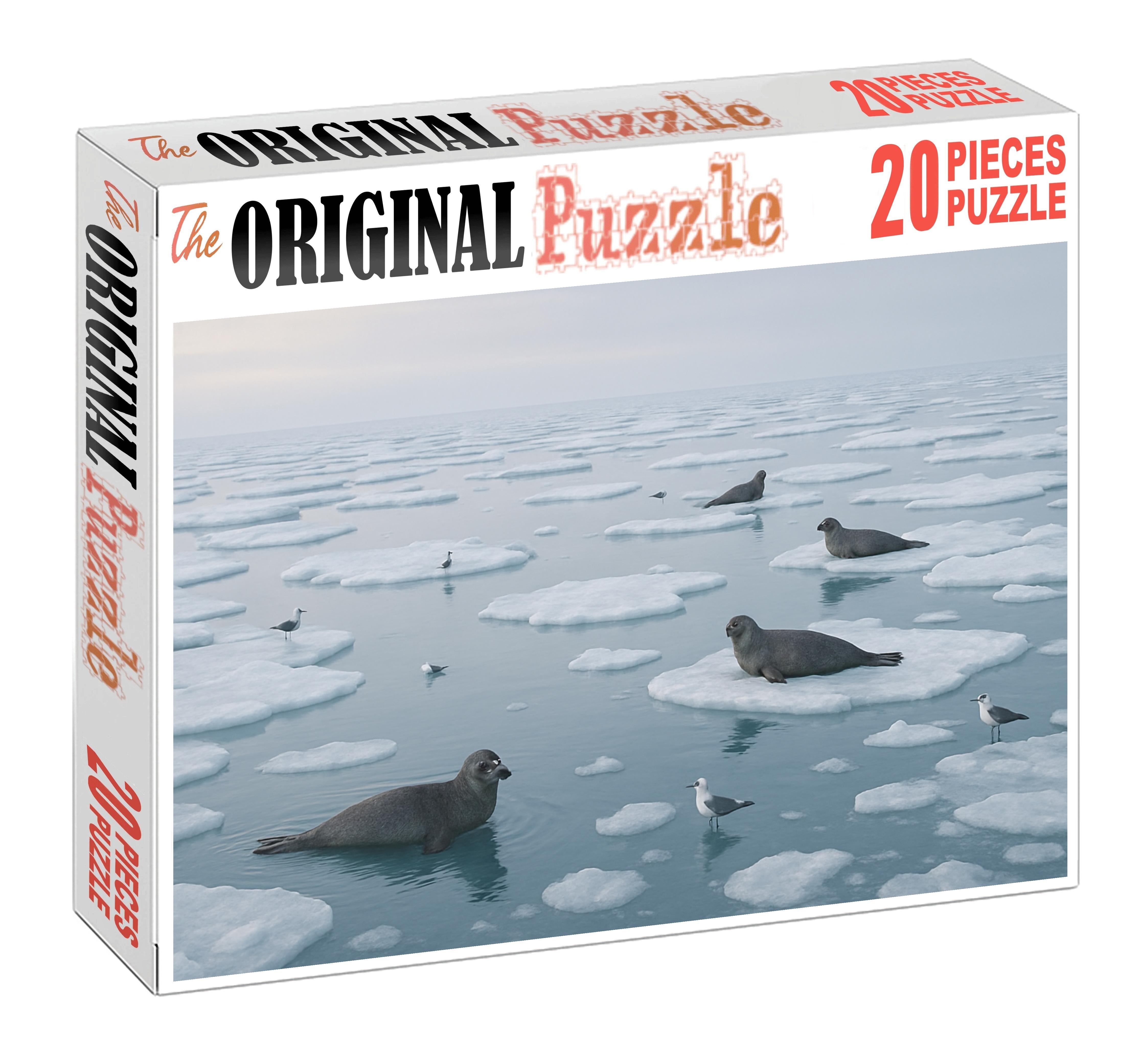 Frost Edge Drift Icy Surface Floes In Pale Winter Light 20 Piece Puzzle