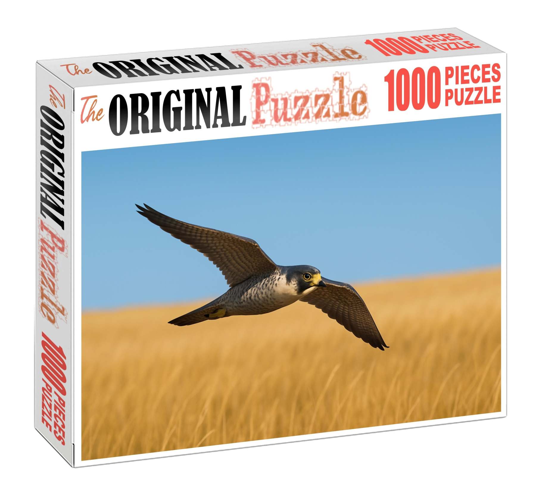 Prairie Falcon Speedster Of Open Plains Puzzle Challenge