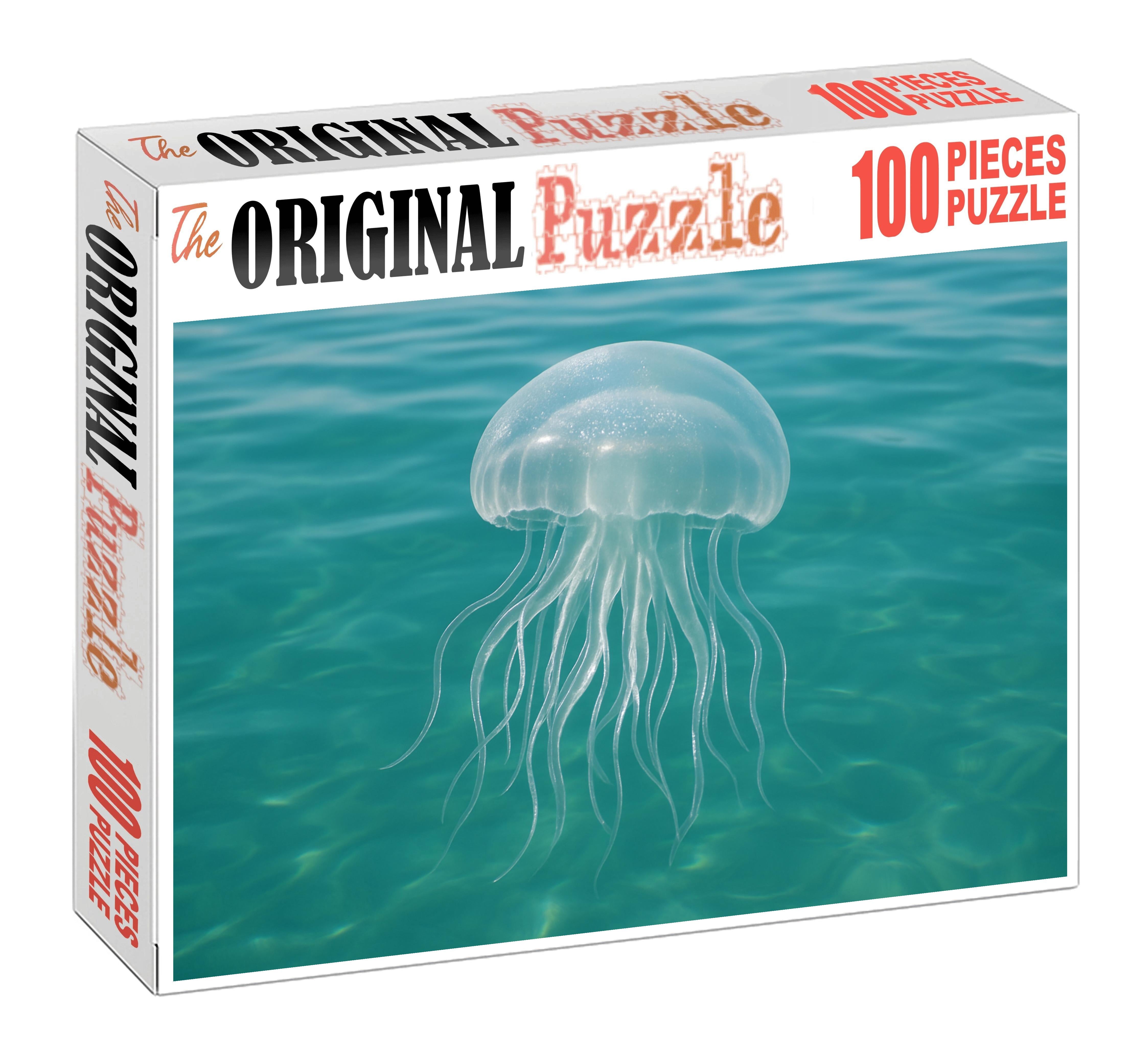 Silvery Fan Jelly Delicate Drifting Carnivore Easy Puzzles