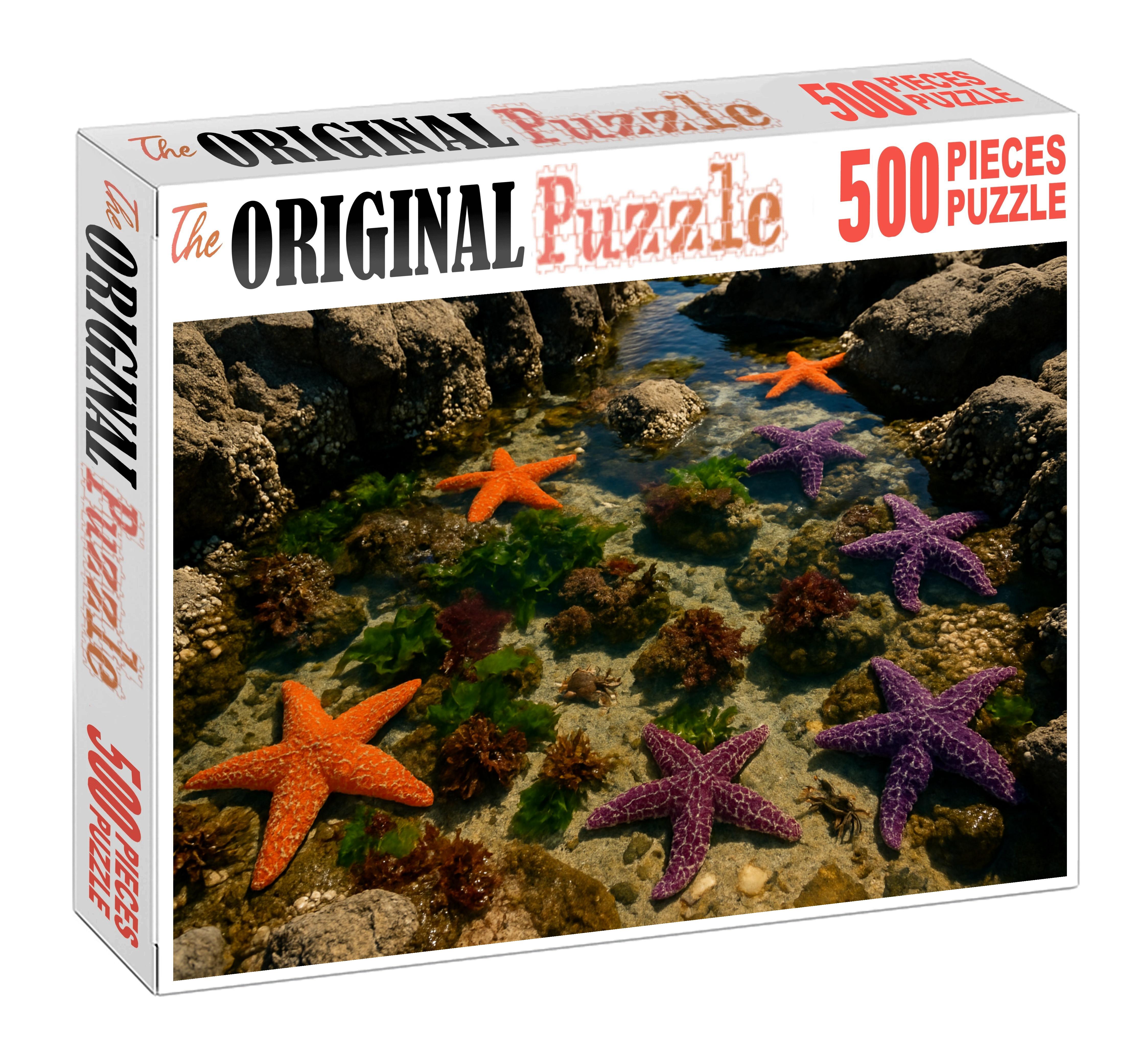 Crystal Tide Pools Rocky Pools Rich With Intertidal Creatures 50 Piece Puzzle