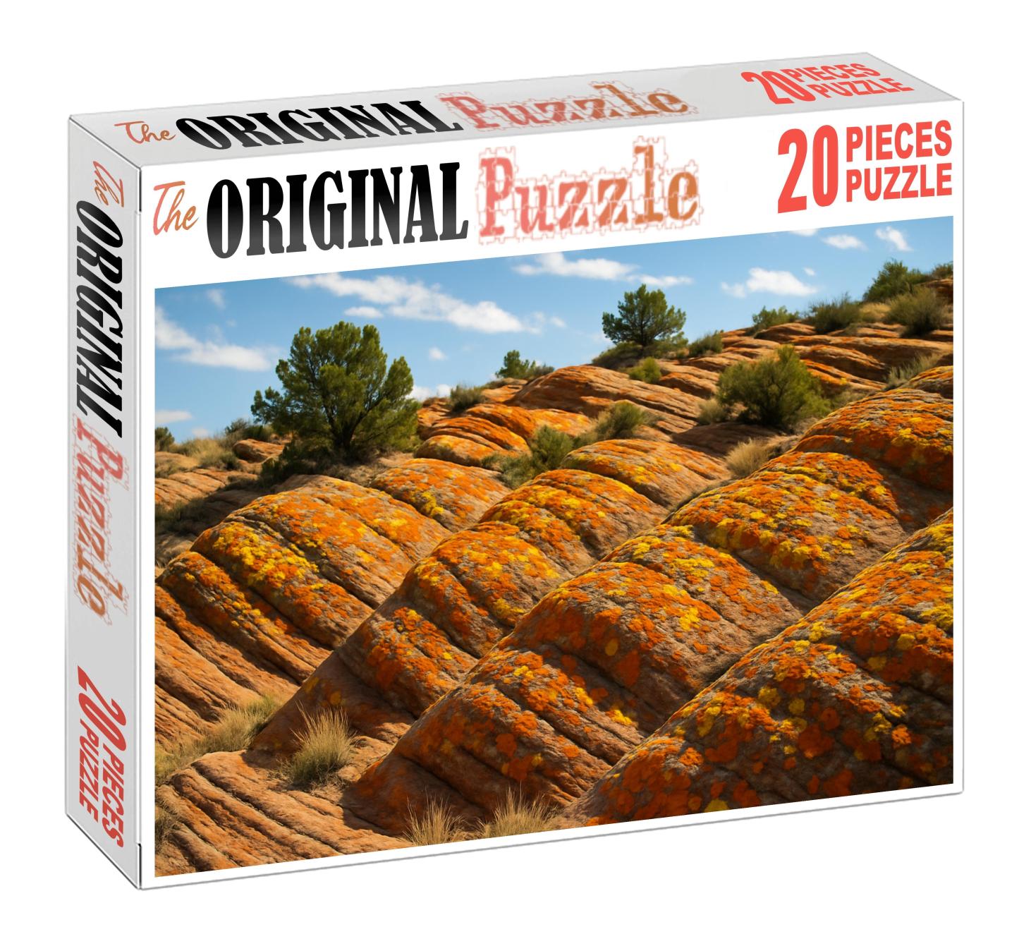 Amber Lichen Heights Puzzle Challenge