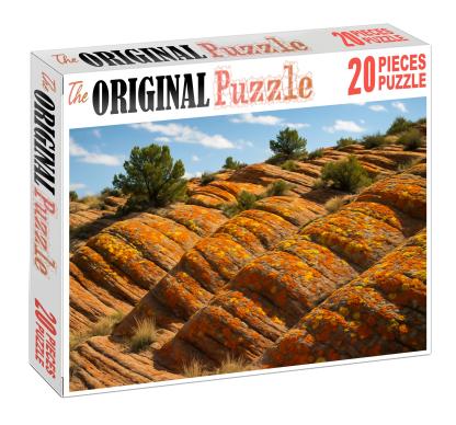 Amber Lichen Heights Puzzle Challenge