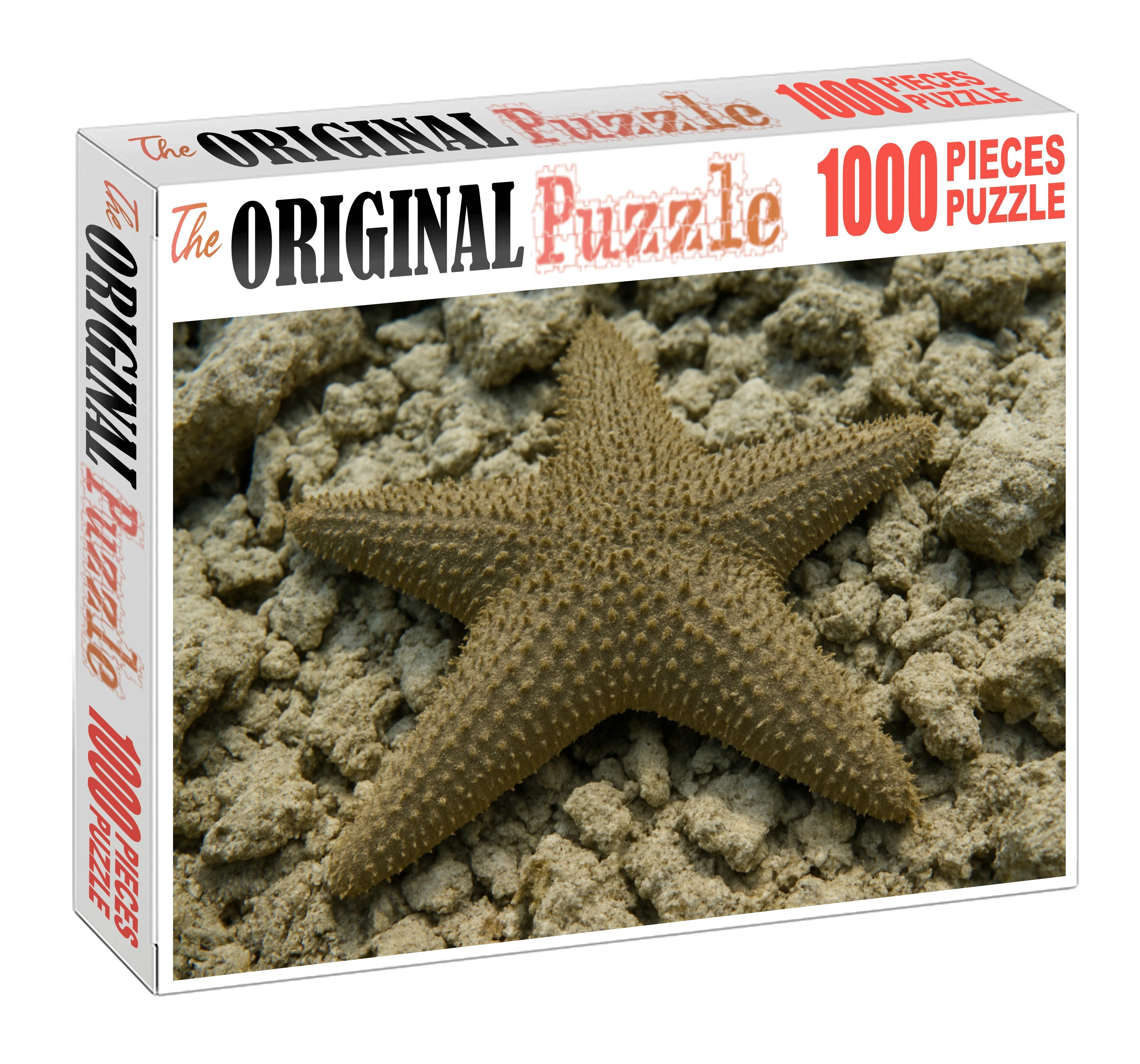 Coral Spine Starfish Radial-eyed Echinoderm With Thorny Texture Puzzle Collection