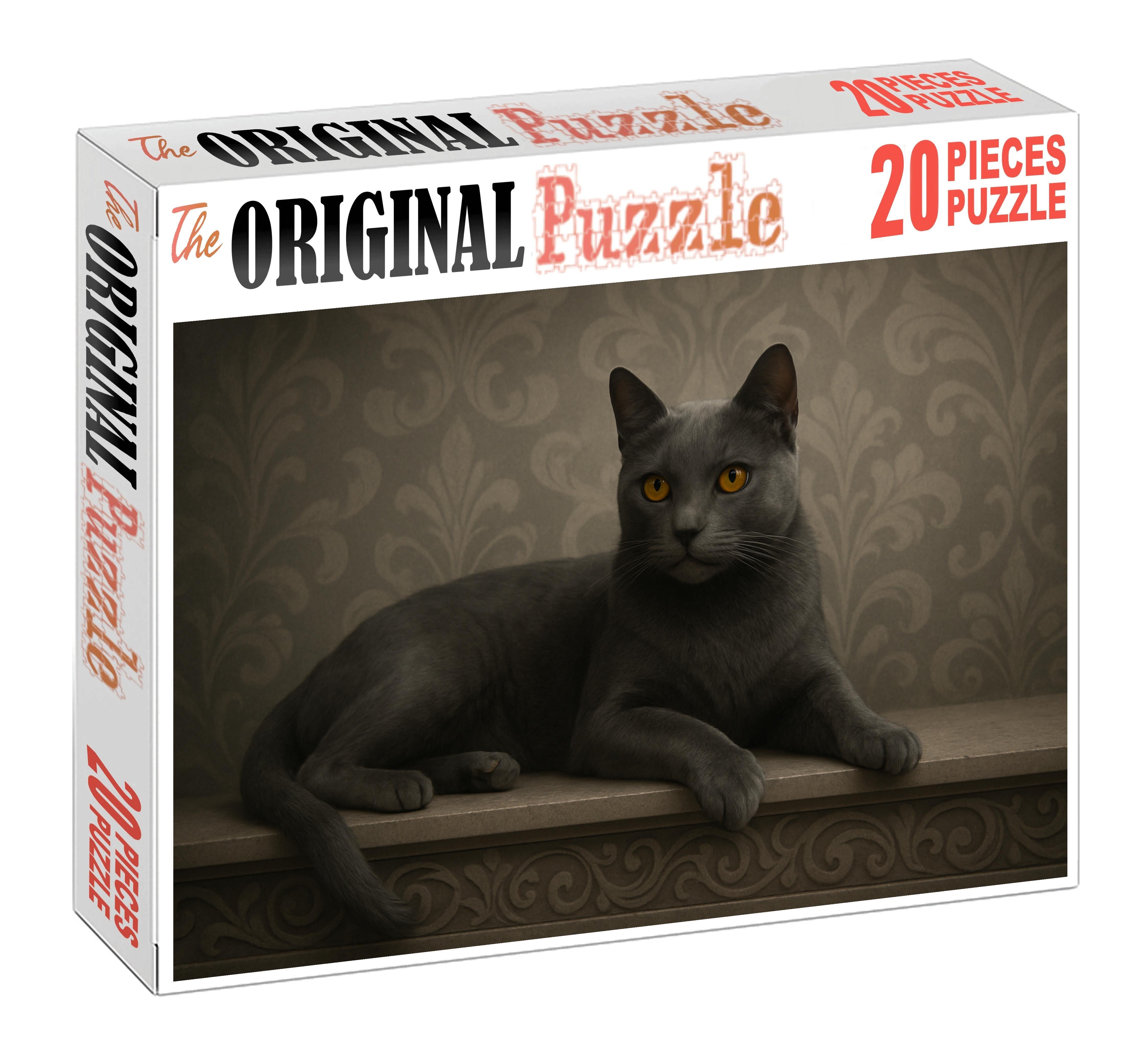Charcoal Mist Mysterious Slate Gray With Playful Intelligence Puzzle Fun