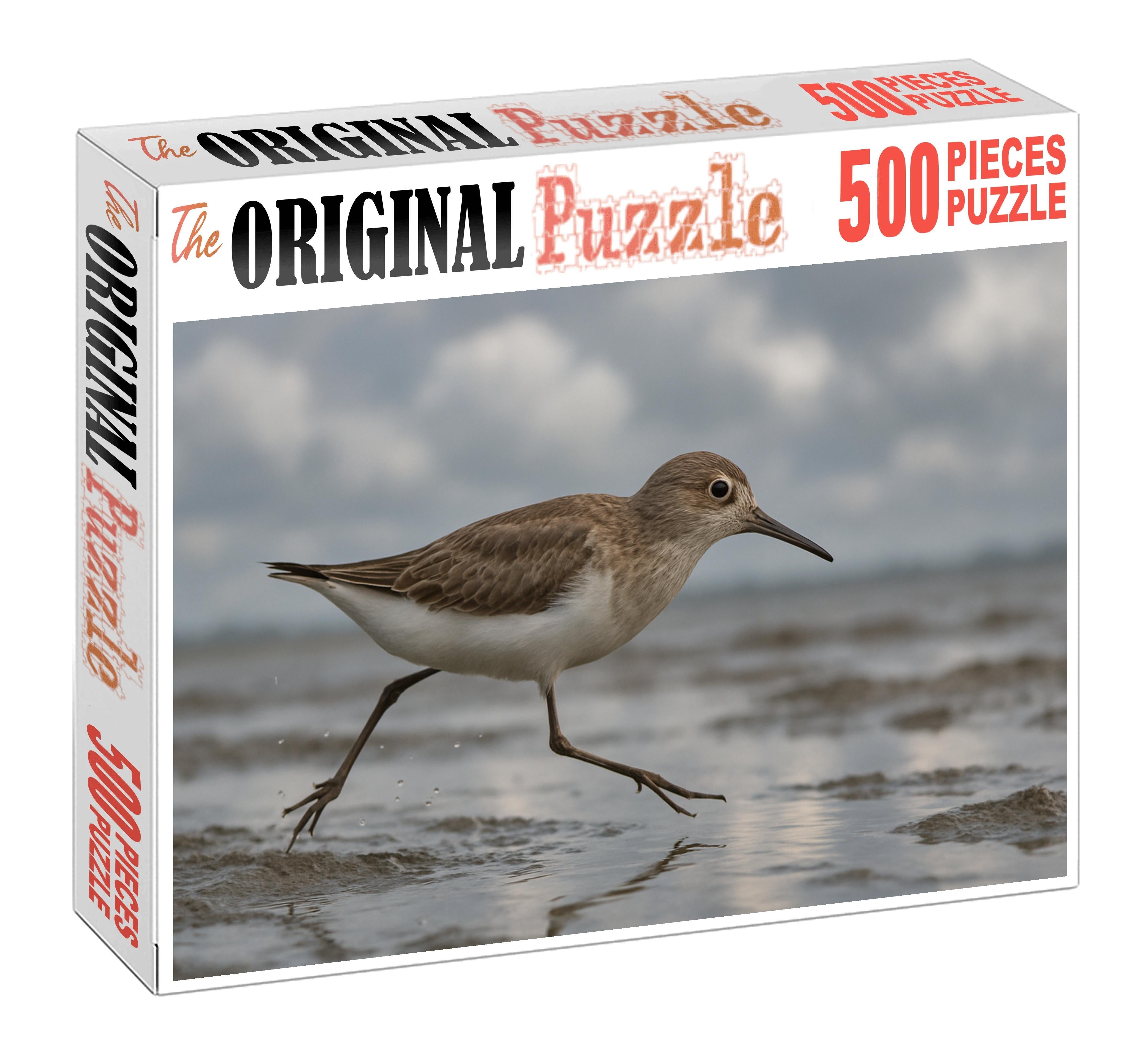 White-rumped Sandpiper Agile Shoreline Specialist Puzzle Fun