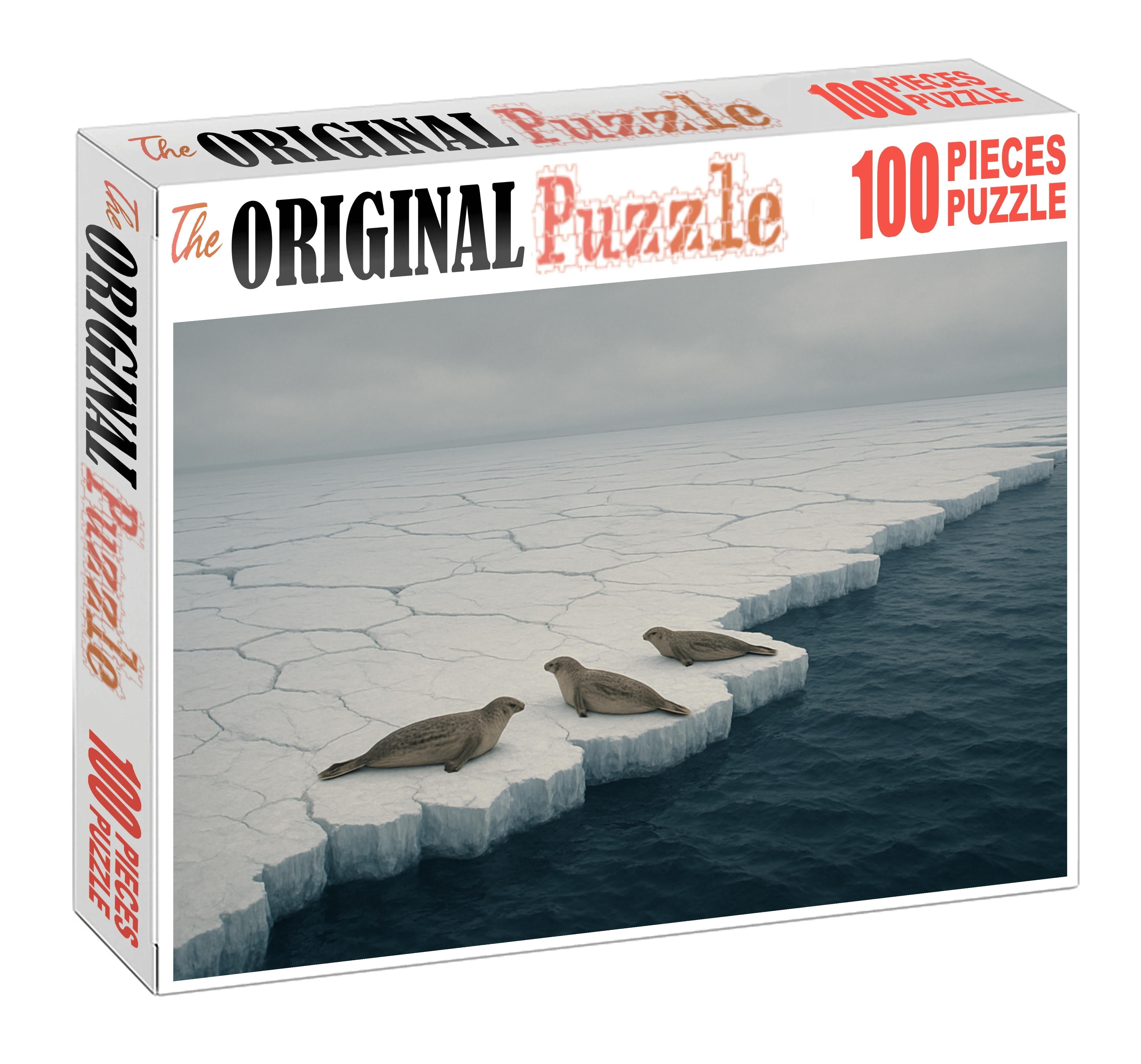 Frozen Ice Shelf Margin 1000 Piece Puzzle