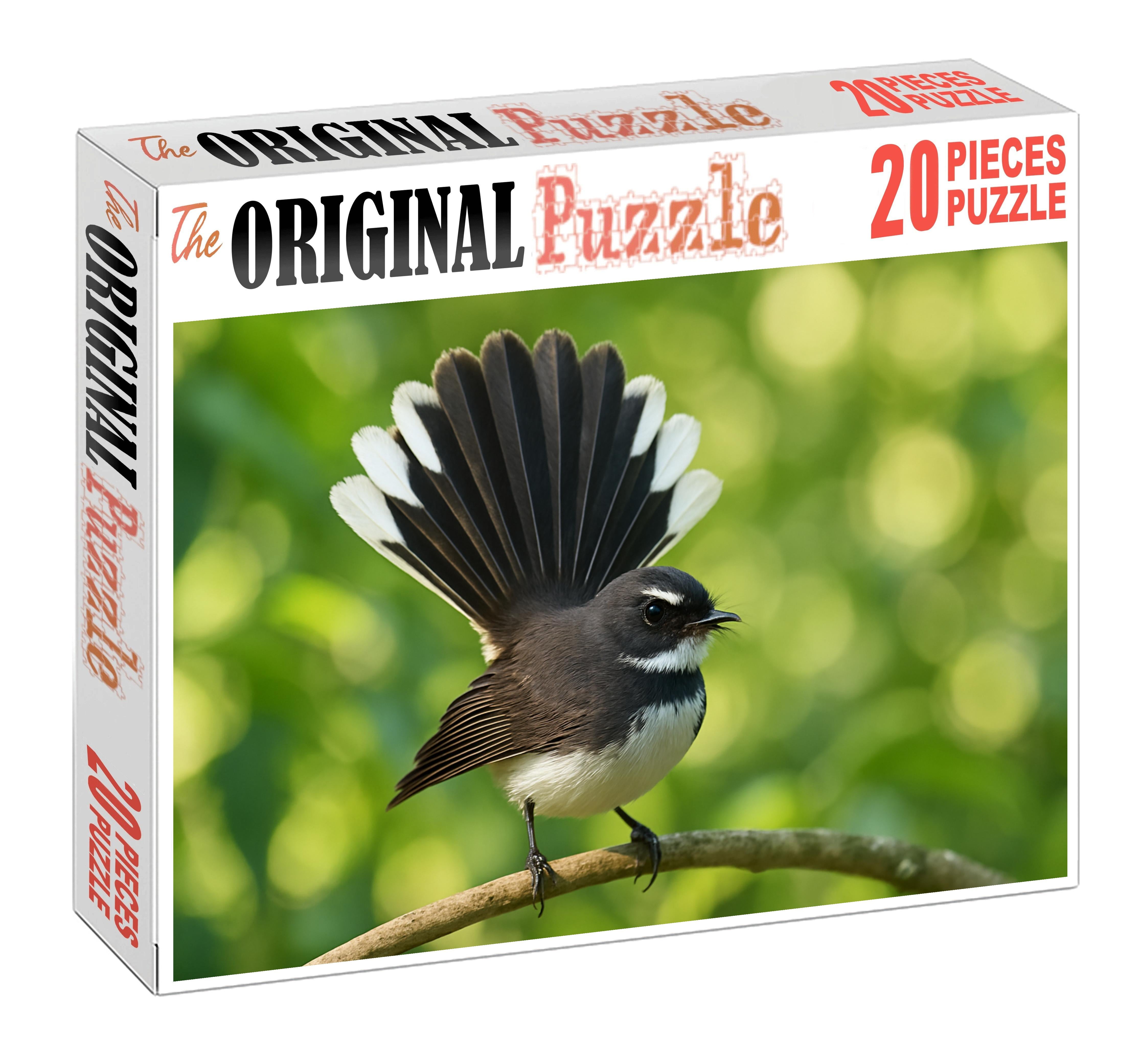 Pied Fantail Agile Performer Of The Forest Challenging Puzzles