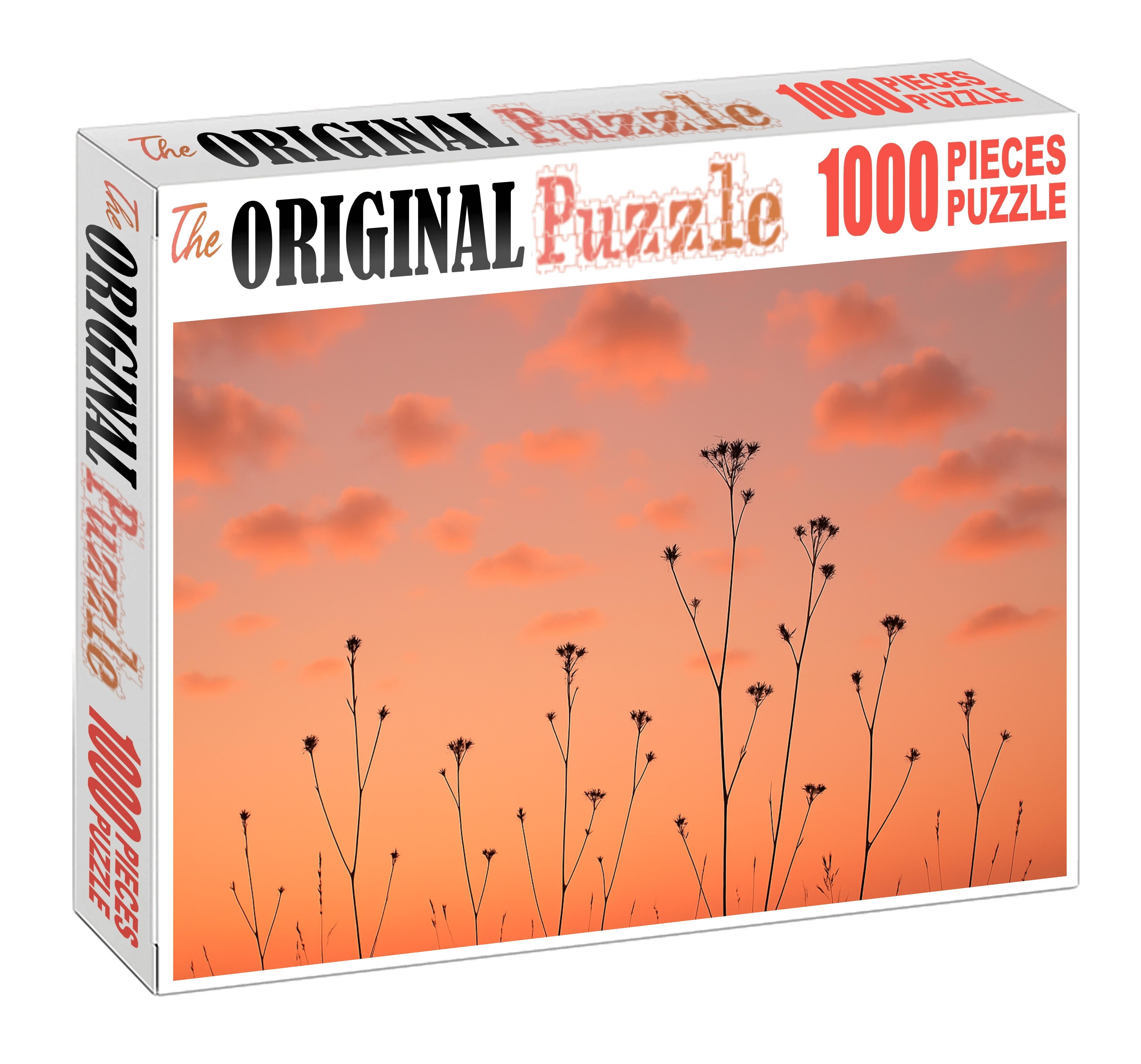 Coral Serenade Skies Puzzle For Kids