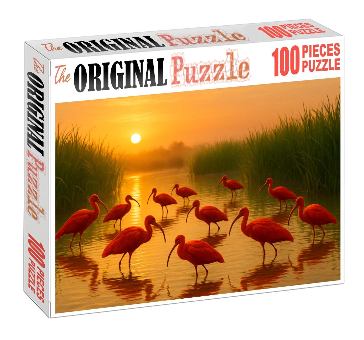 Scarlet Ibis The Scarlet Flaming Forest Visitor Unique Puzzle Design