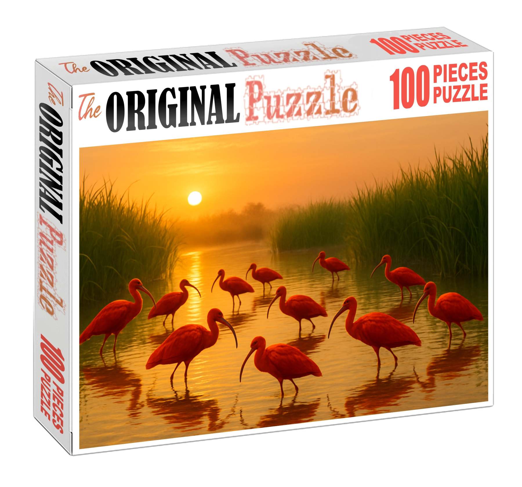 Scarlet Ibis The Scarlet Flaming Forest Visitor Unique Puzzle Design