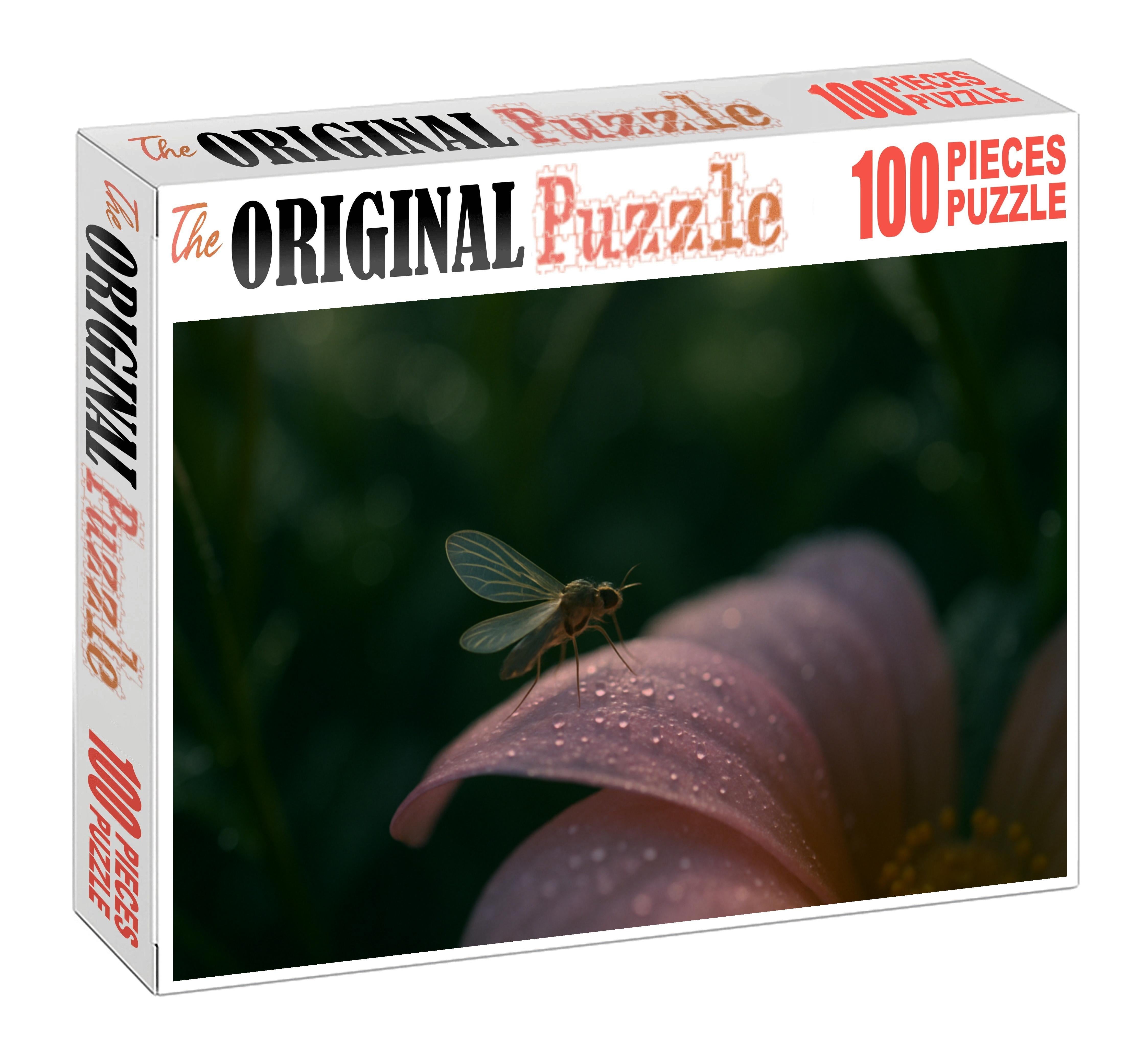 Glasswing Hopper Transparent Insect With Hyper-flexible Wings Custom Jigsaw Puzzle