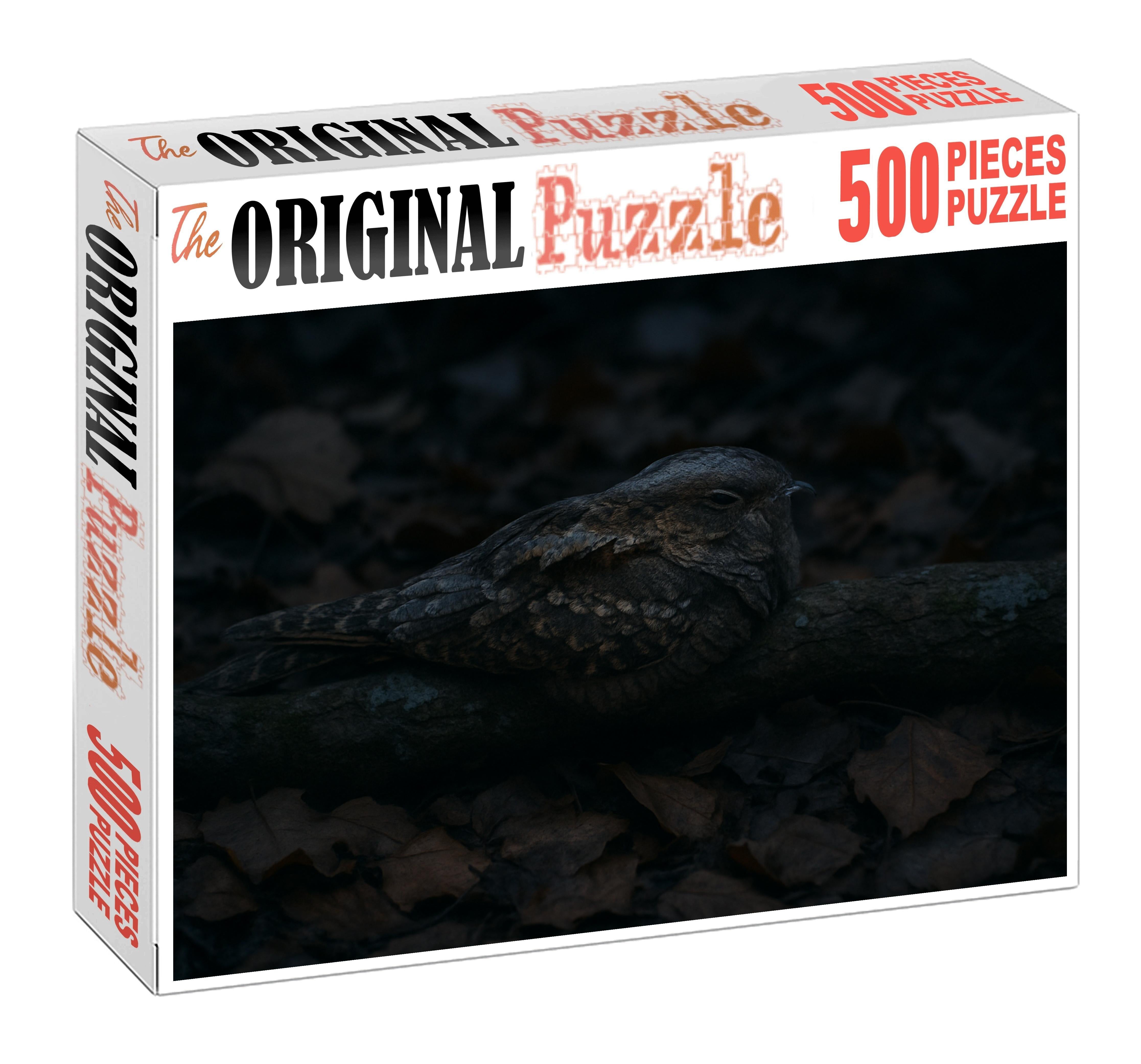 Ivory-billed Nightjar Master Of Twilight Camouflage Puzzle Fun