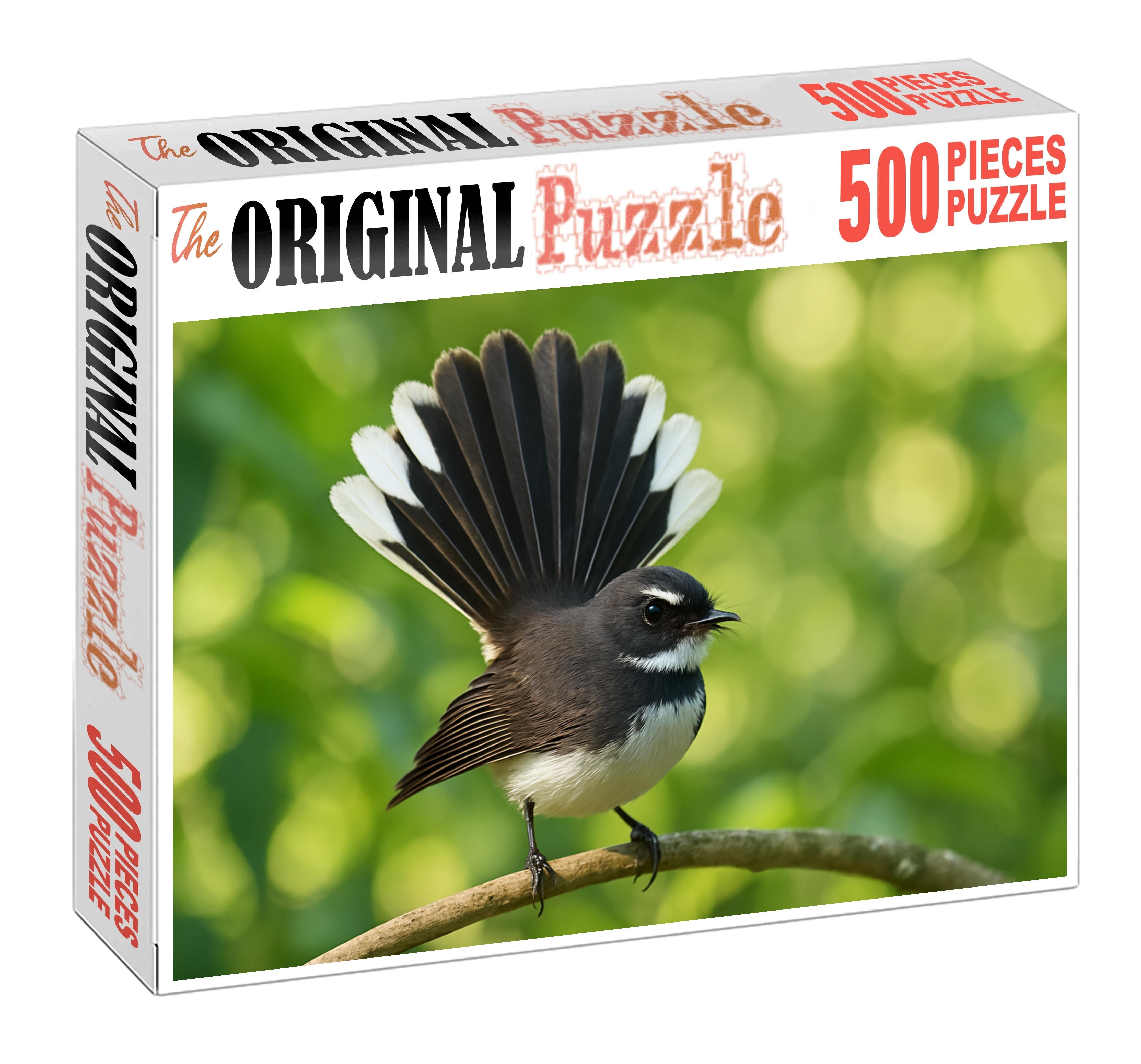 Pied Fantail Agile Performer Of The Forest Challenging Puzzles