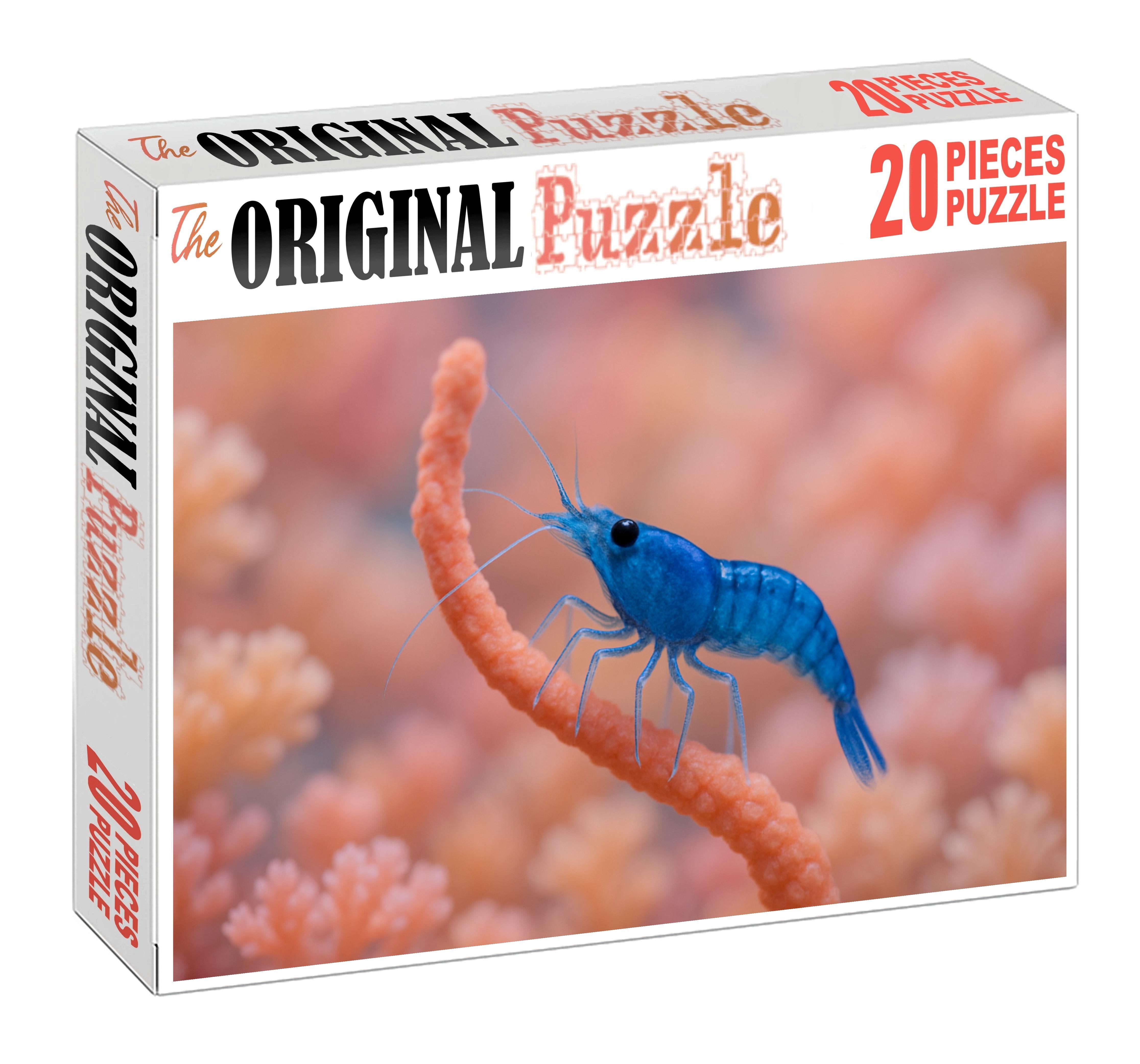 Sapphire Reef Shrimp Delicate Filter-feeder With Translucent Appendages Easy Puzzles