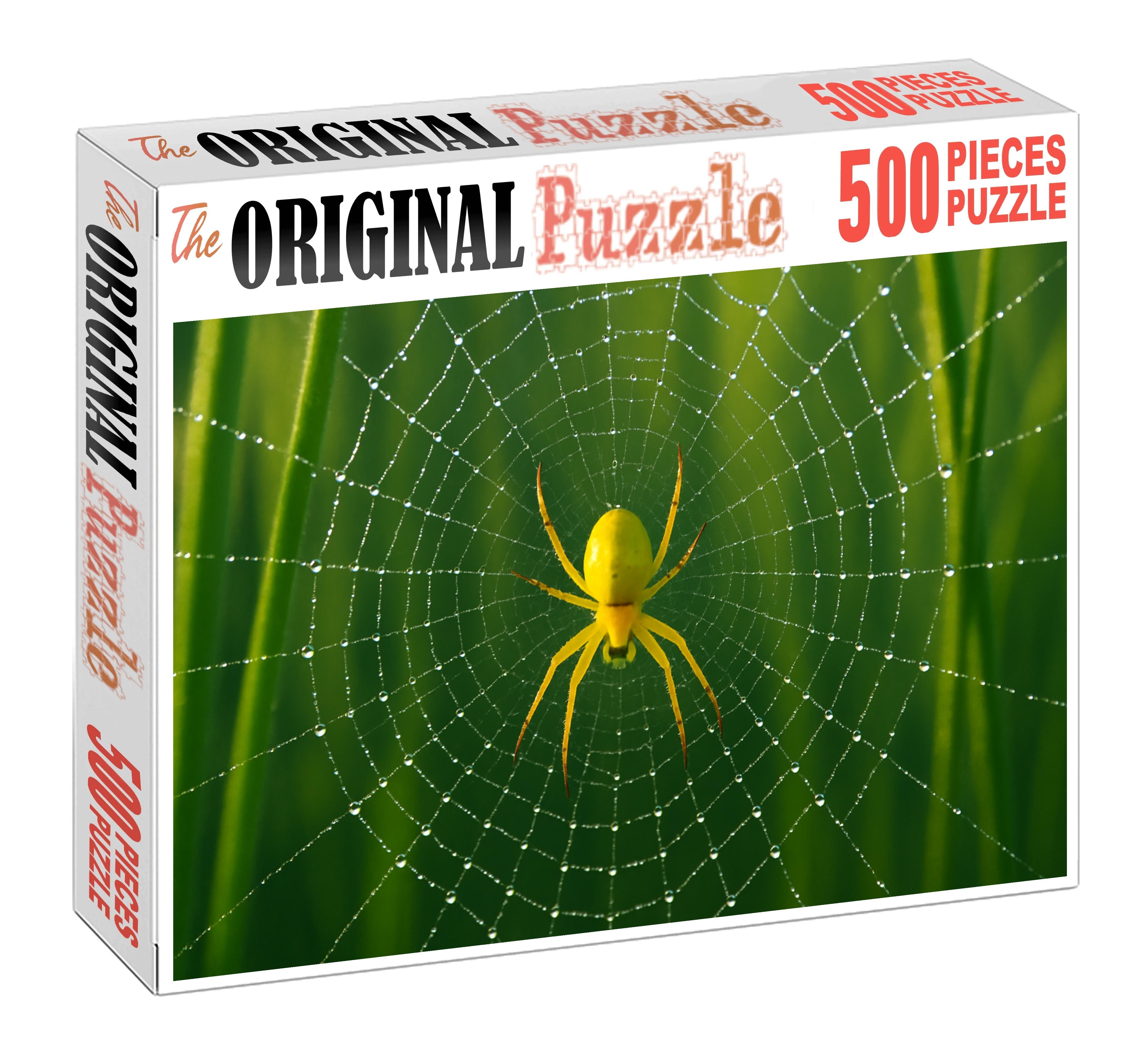 Golden Orb Weaver Intricate Web Builder With Brilliant Yellow Body Puzzle Fun