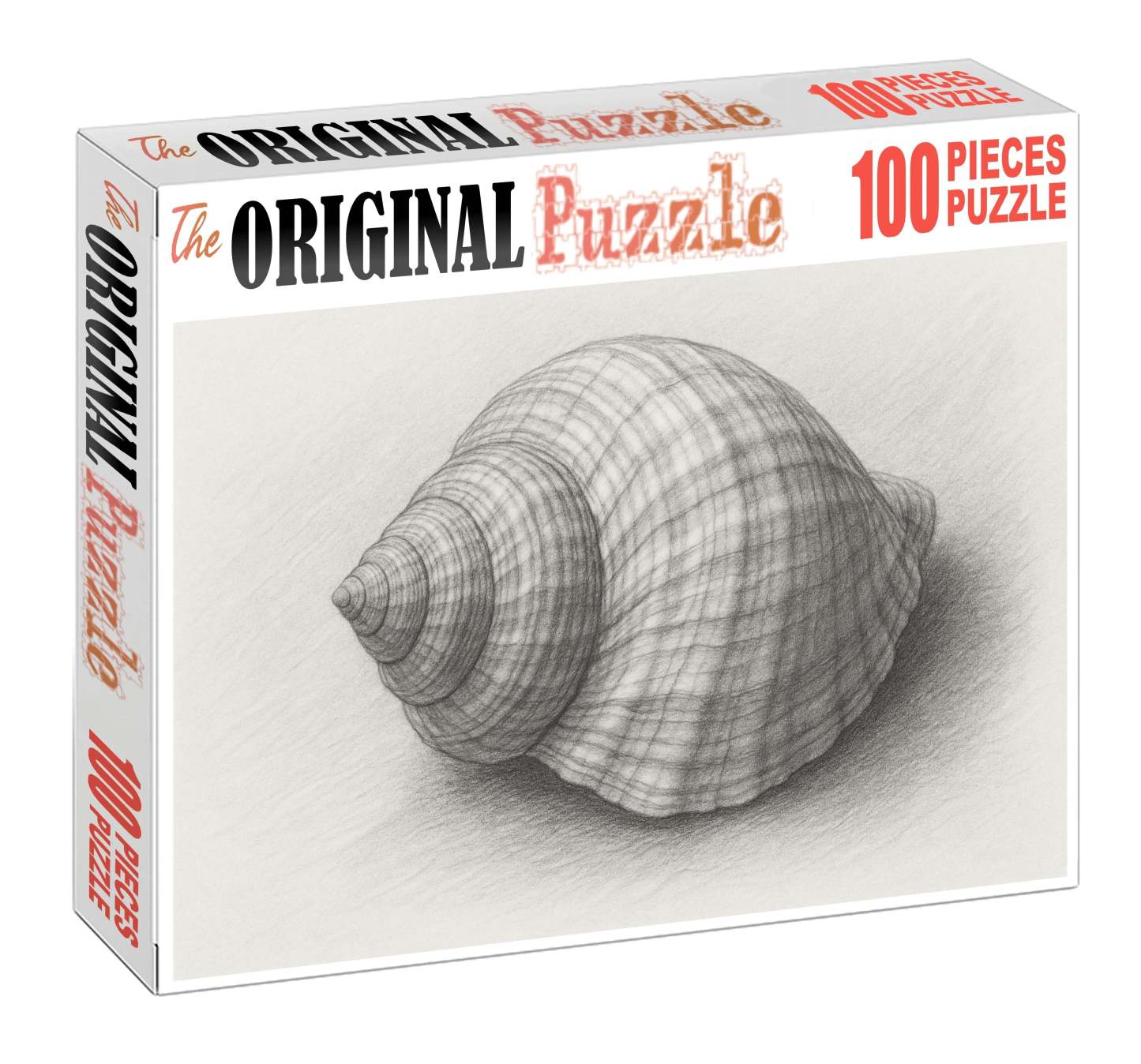 Intricate Shell Anatomy Detailed Graphite Scientific Study Puzzle Challenge