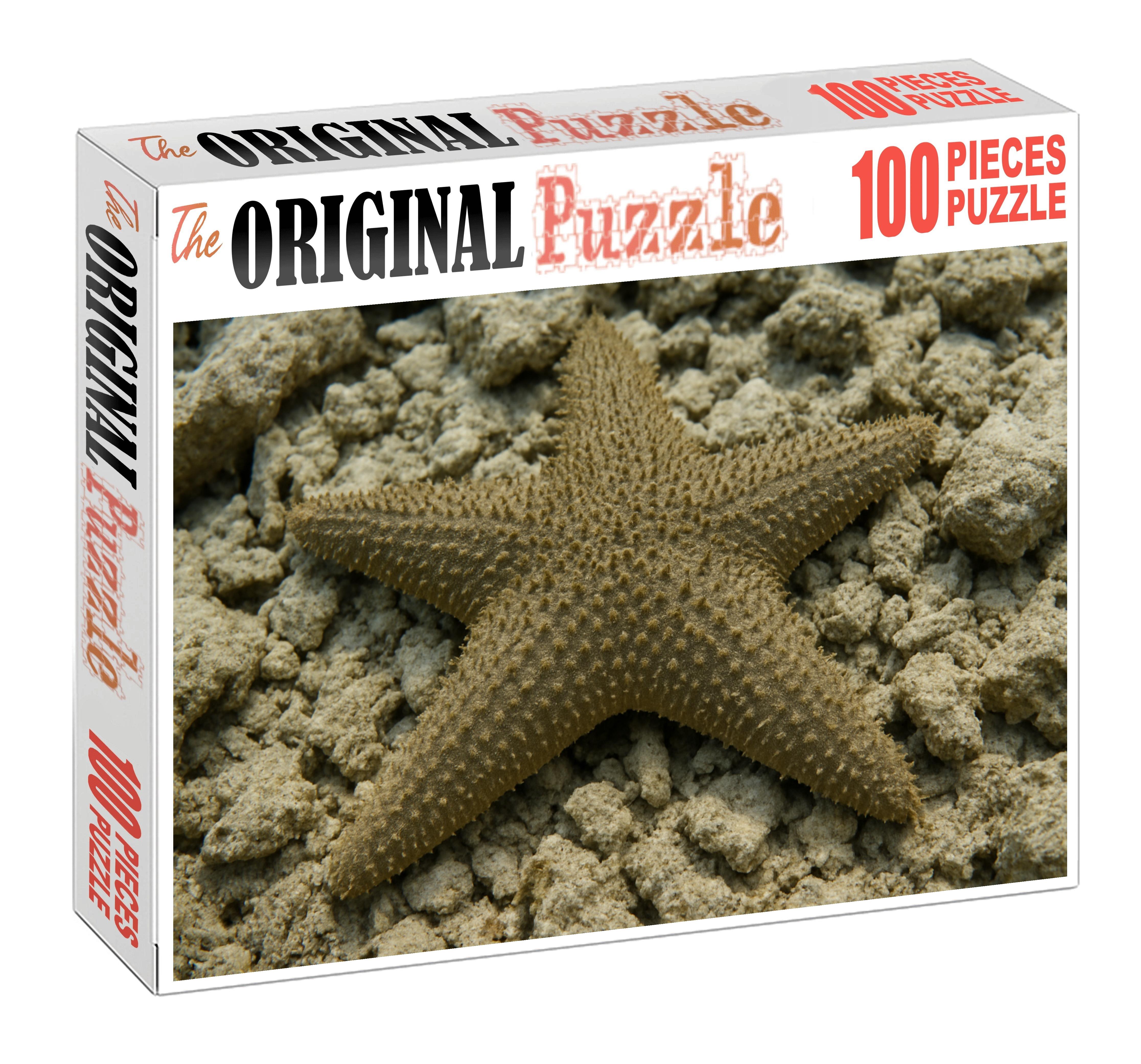Coral Spine Starfish Radial-eyed Echinoderm With Thorny Texture Puzzle Collection