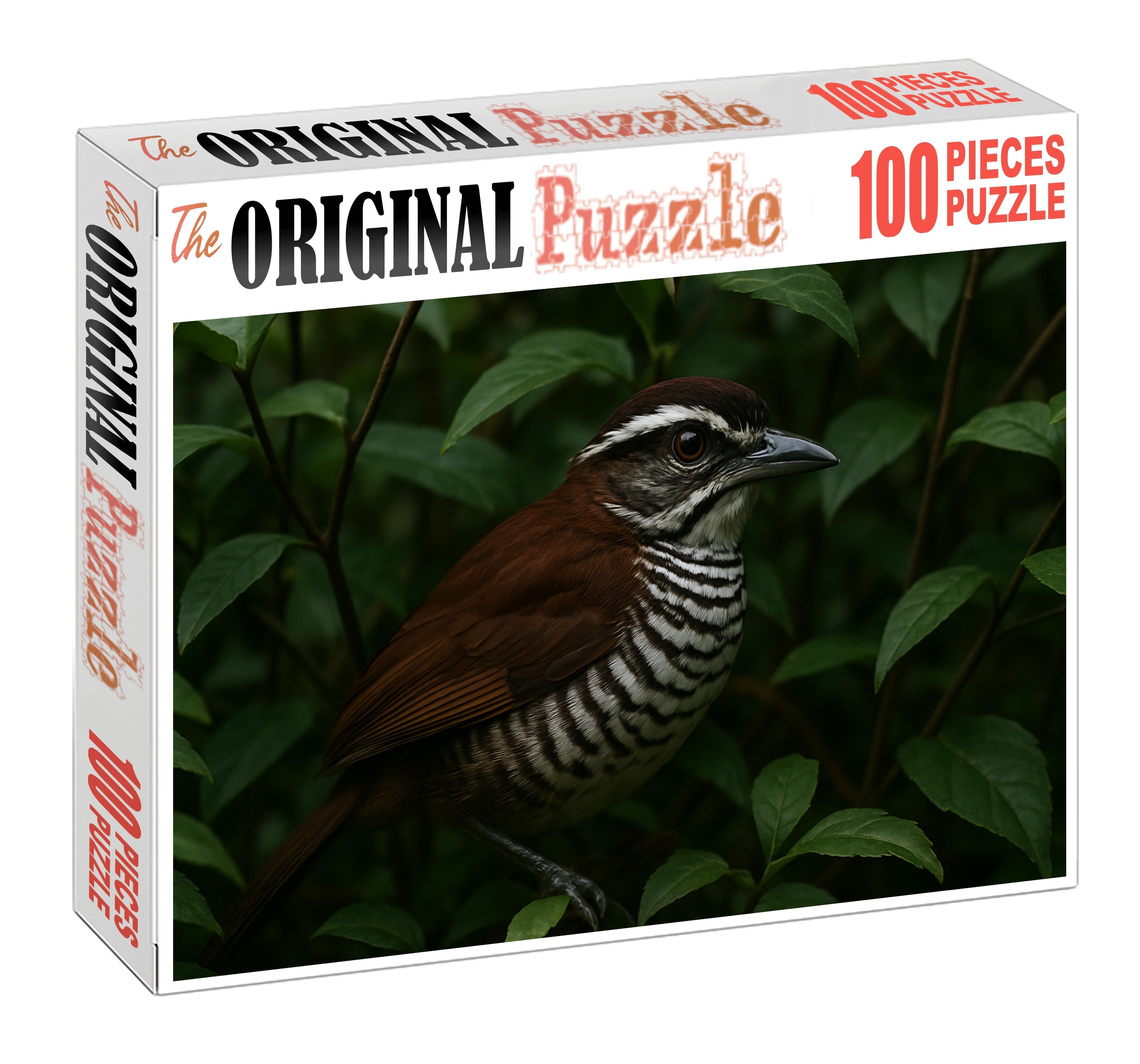 White-striped Puffbird Forests Patient Ambusher Challenging Puzzles