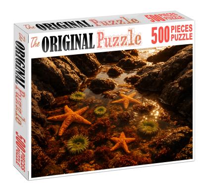 Golden Tide Pools 300 Piece Puzzle