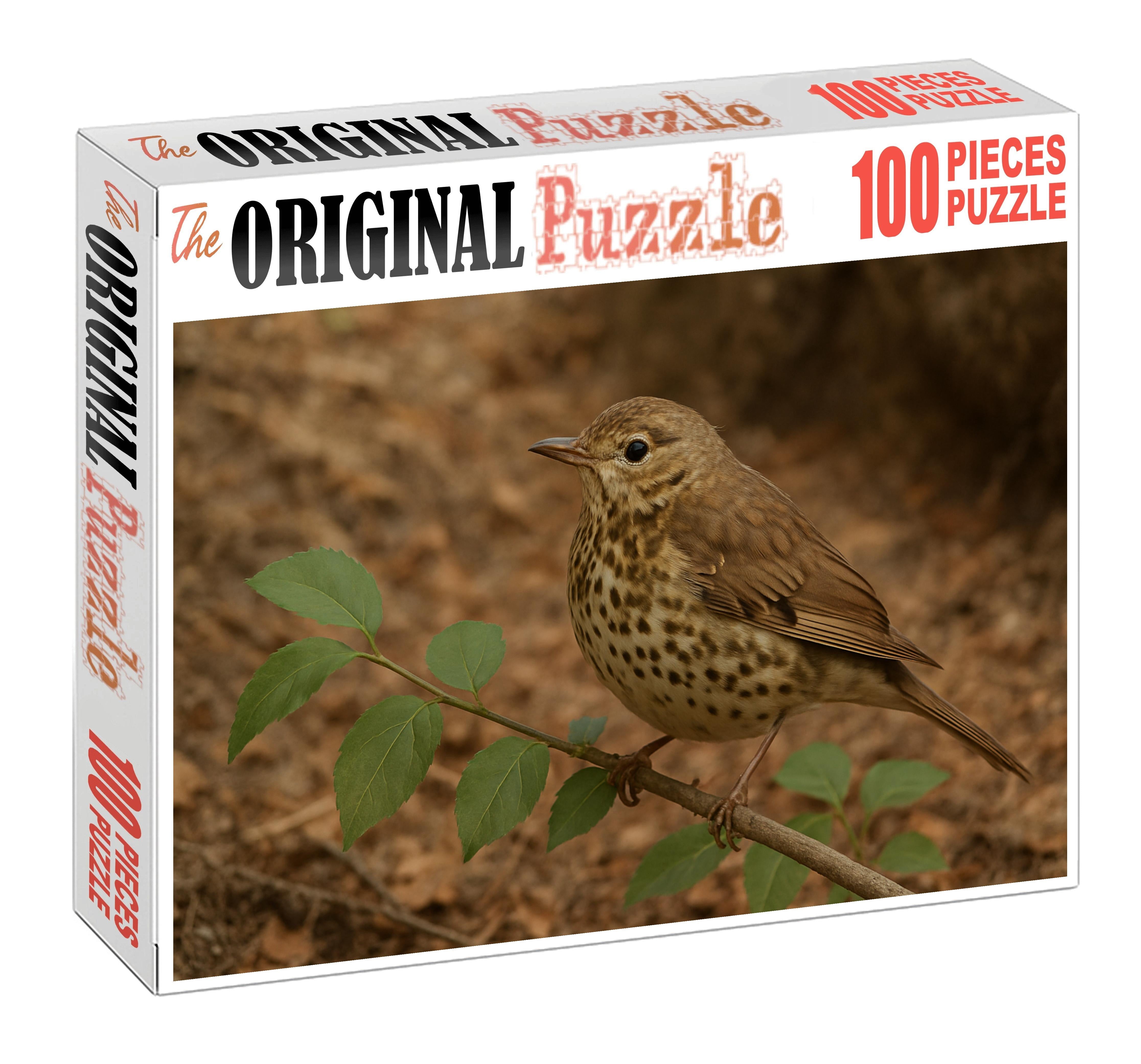 Speckled Warbler Subtle Woodland Gem Challenging Puzzles