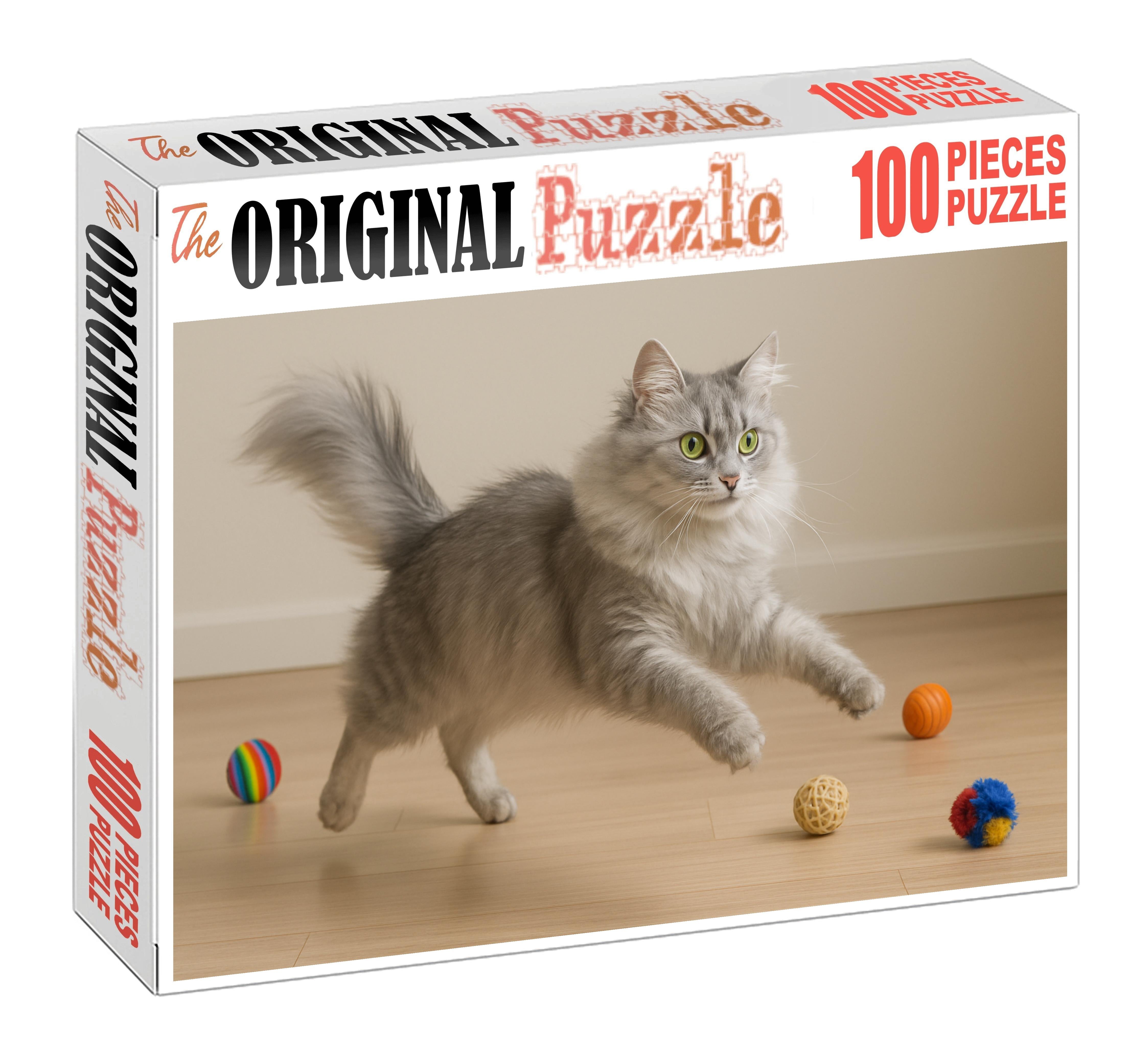 Silver Frost Silvery Longhair With Playful Spirit Unique Puzzle Design