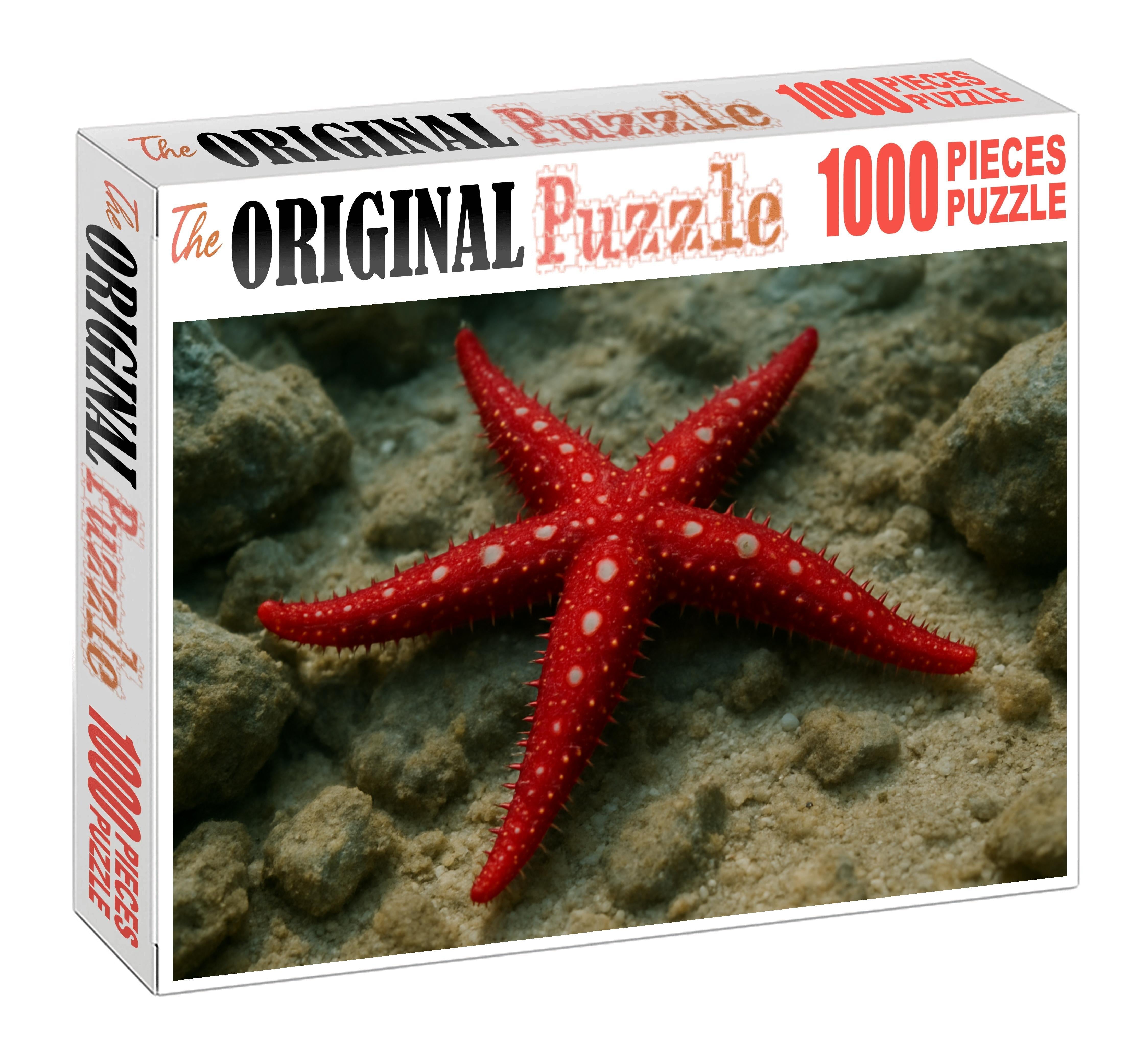 Ruby-spotted Starfish Vibrant Benthic Predator Easy Puzzles