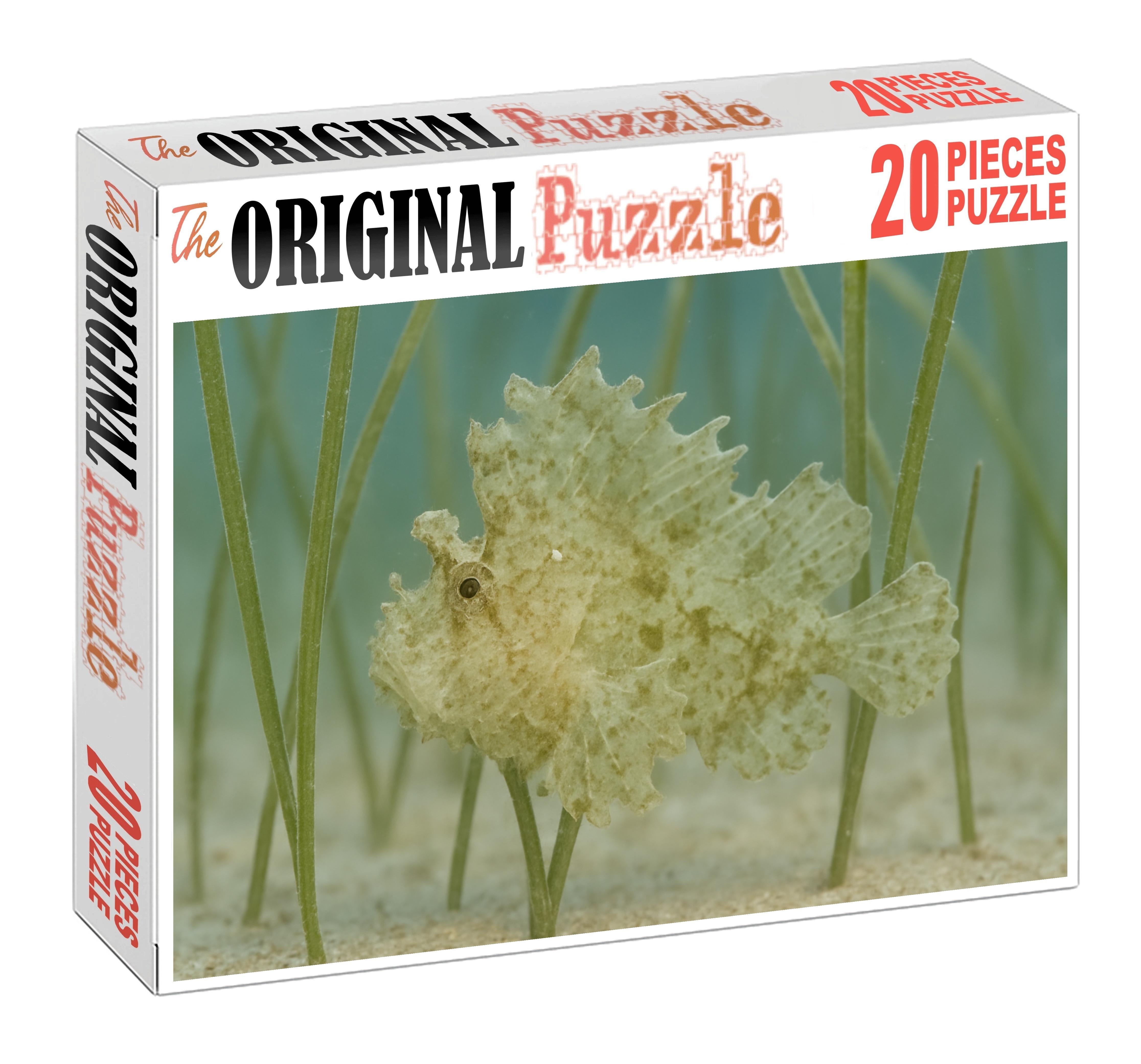 Ghost Pipefish Elusive Mimic With Leaflike Appendages Challenging Puzzles