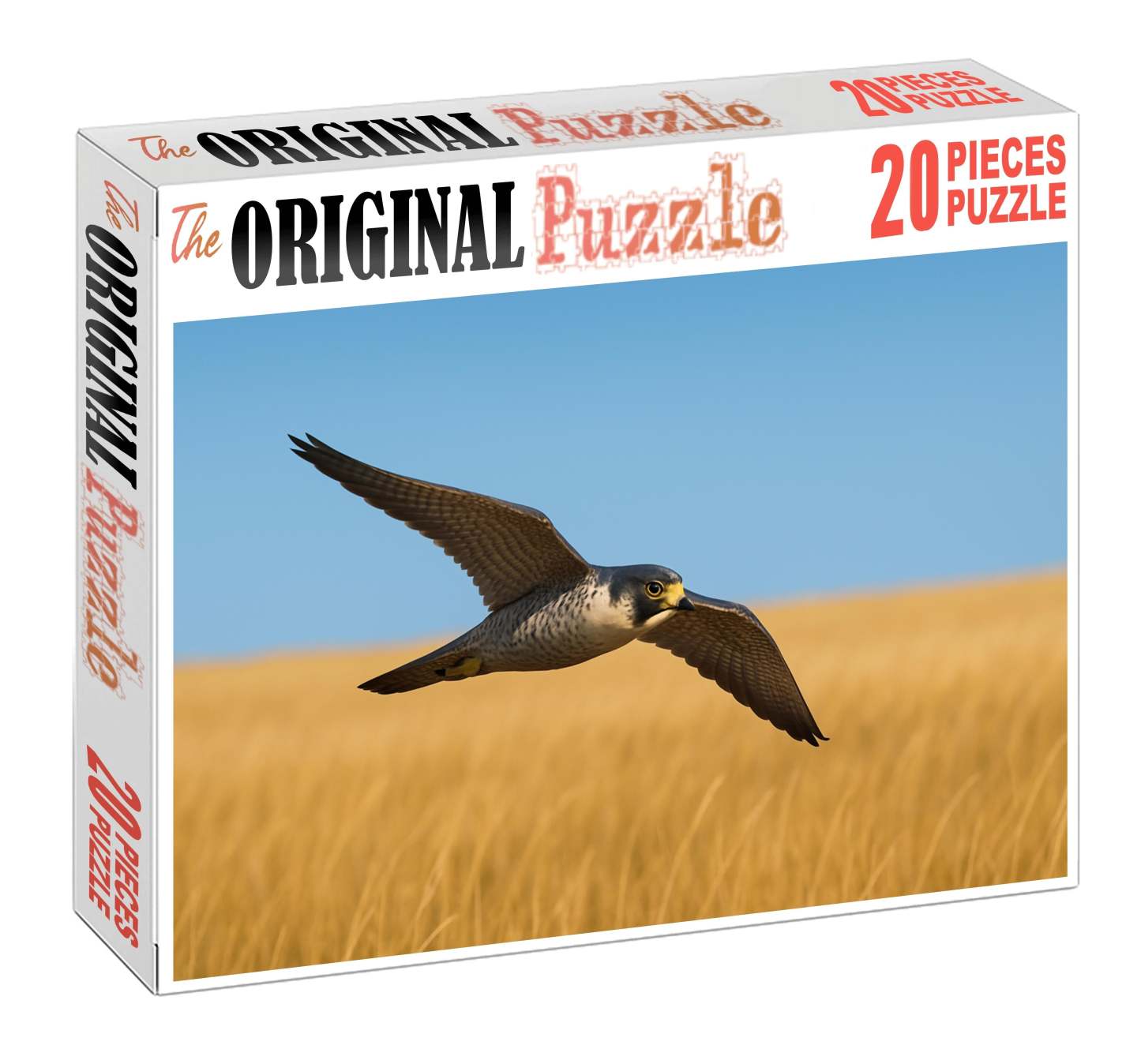 Prairie Falcon Speedster Of Open Plains Puzzle Challenge