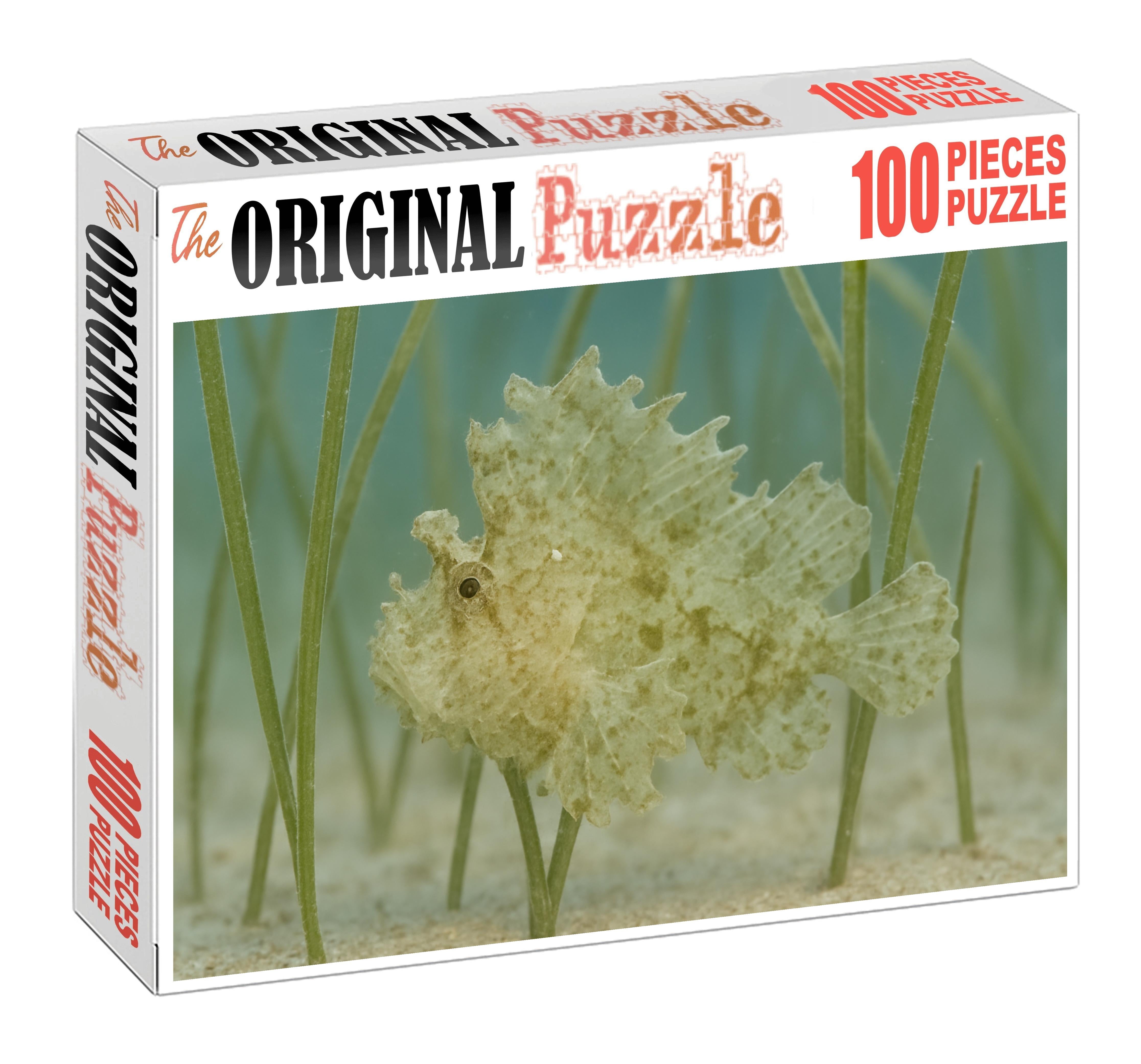 Ghost Pipefish Elusive Mimic With Leaflike Appendages Challenging Puzzles