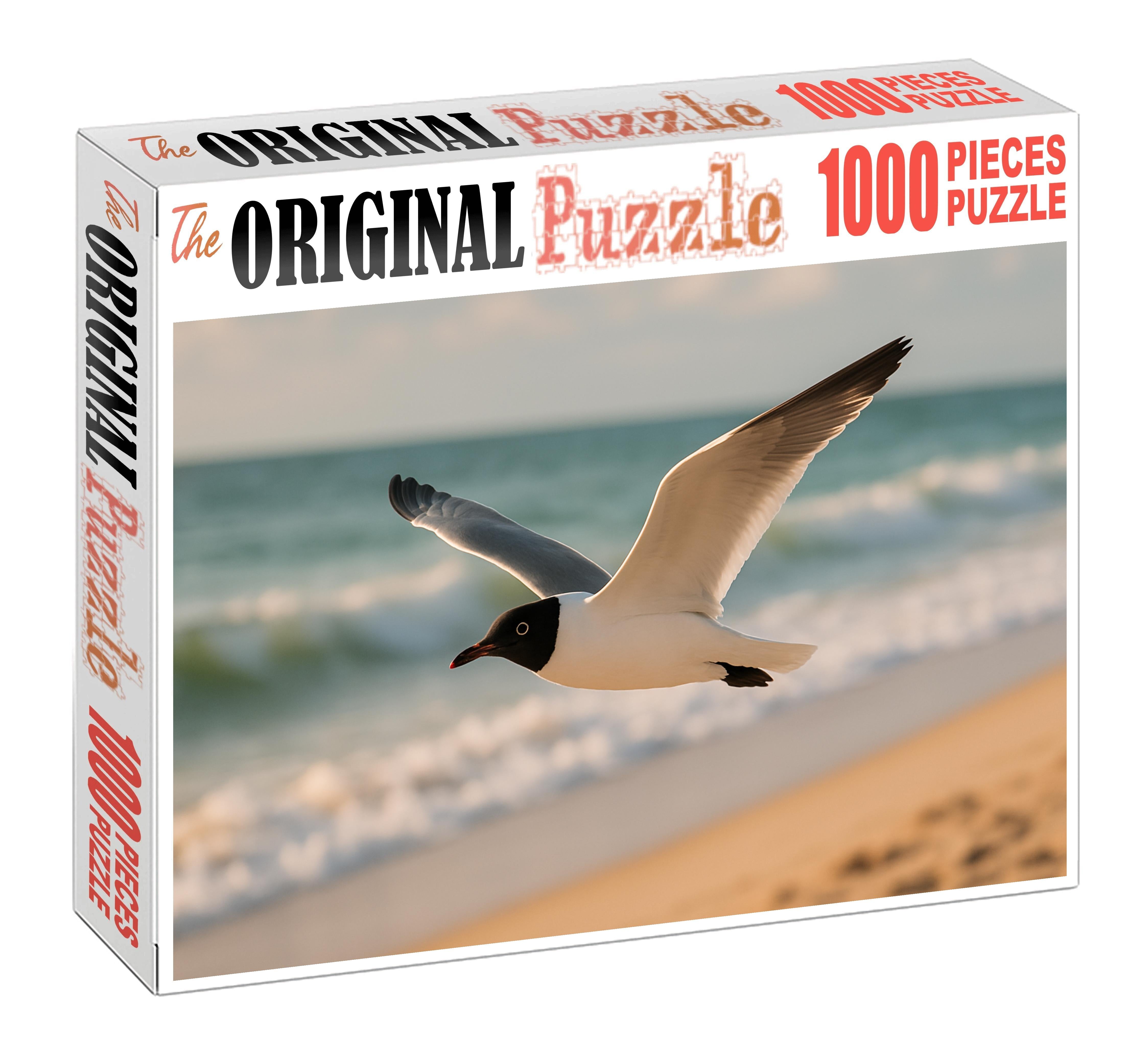 Black-headed Gull Coastal Vigilant Forager Challenging Puzzles