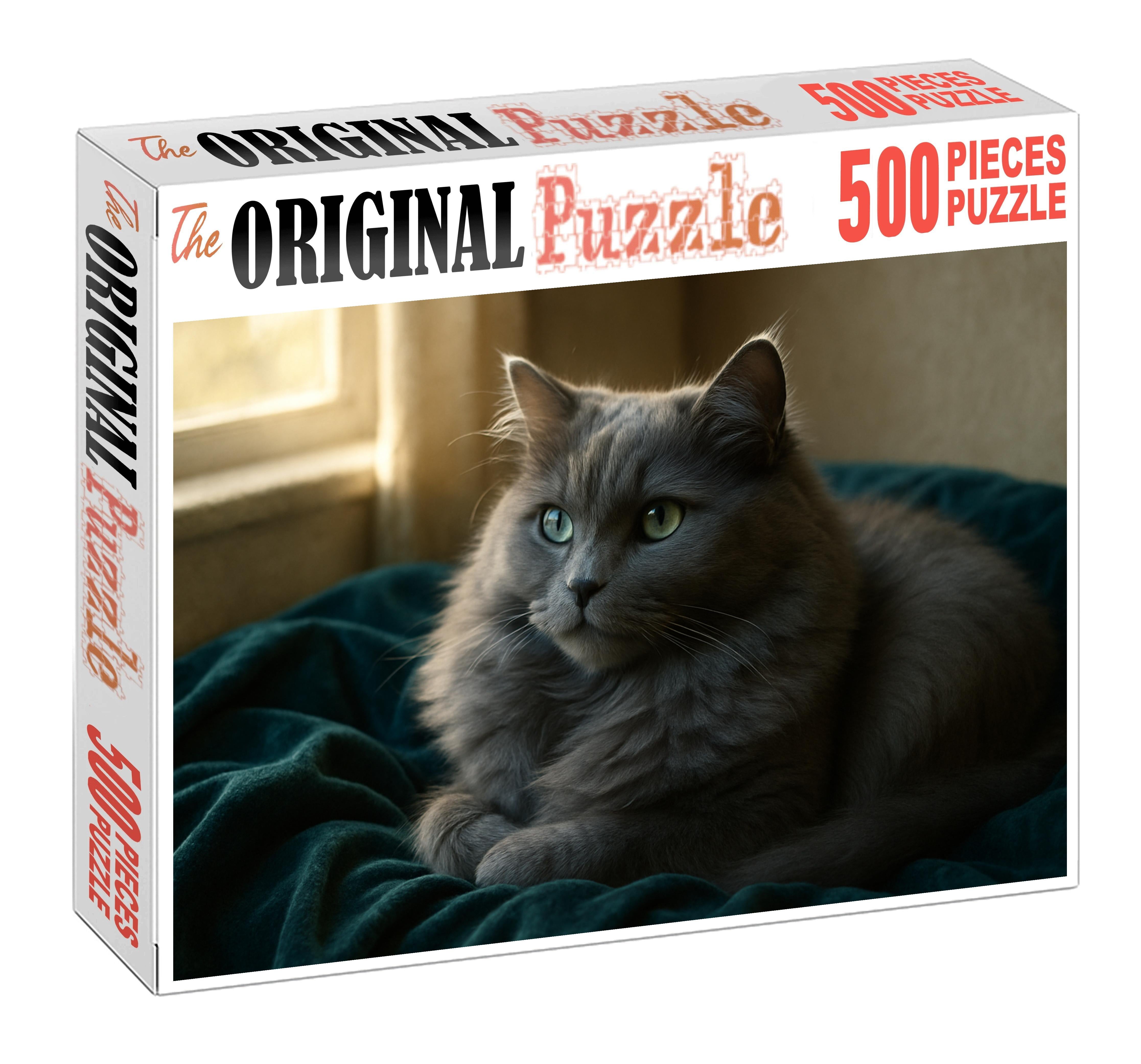 Opaline Mist Silky Blue-grey Longhair With Gentle Disposition Puzzle Fun
